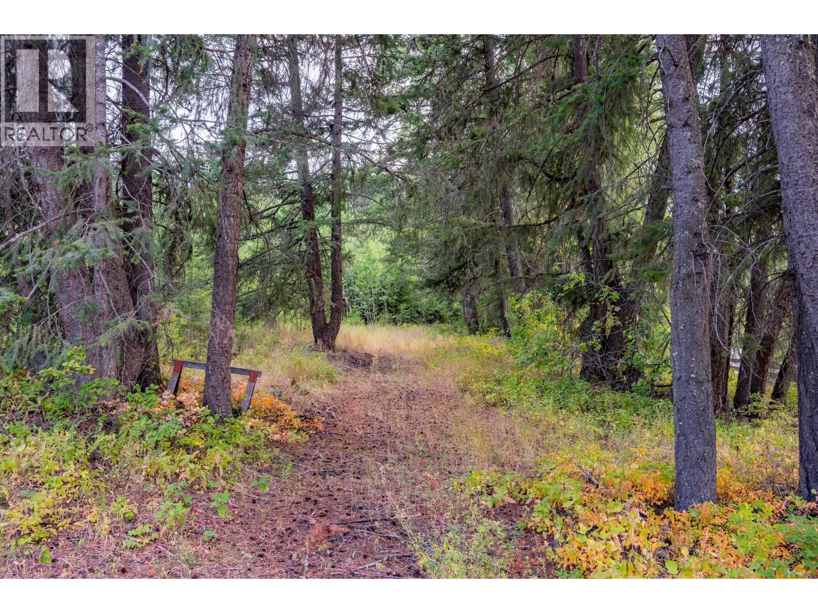 1396 Campbell Road, Golden, British Columbia  V0A 1H7 - Photo 63 - 10398160