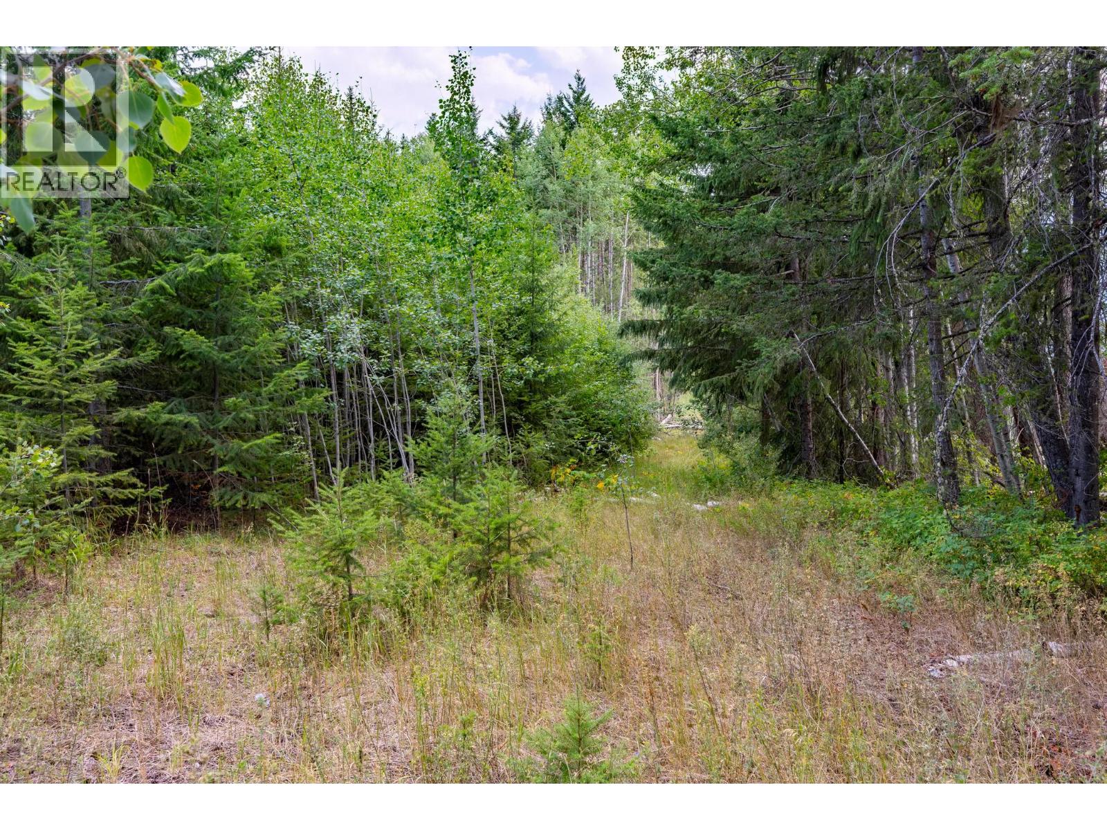 1396 Campbell Road, Golden, British Columbia  V0A 1H7 - Photo 64 - 10398160