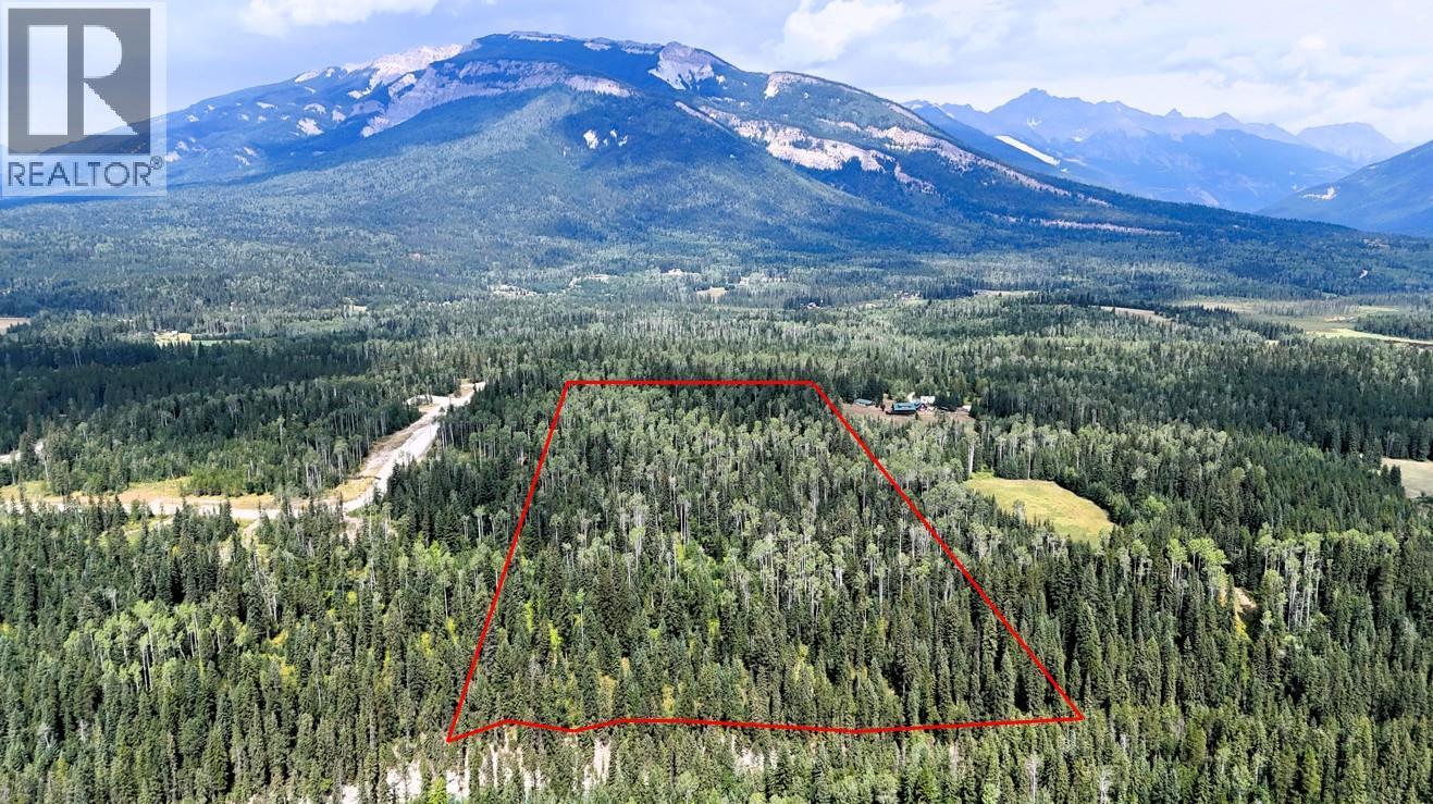 2434 Kettleston Road, Golden, British Columbia  V0A 1H1 - Photo 3 - 10398165