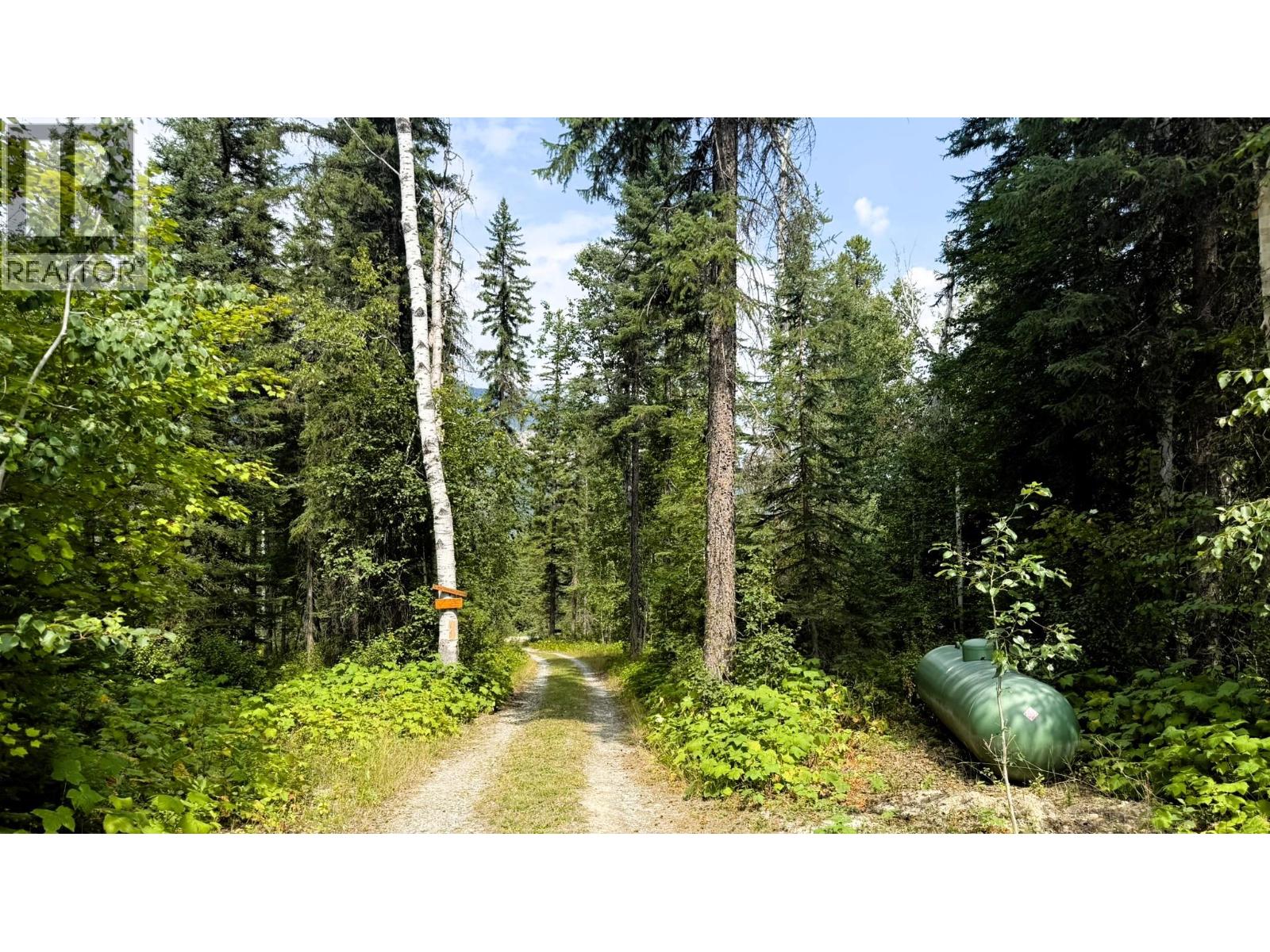 2434 Kettleston Road, Golden, British Columbia  V0A 1H1 - Photo 47 - 10398165