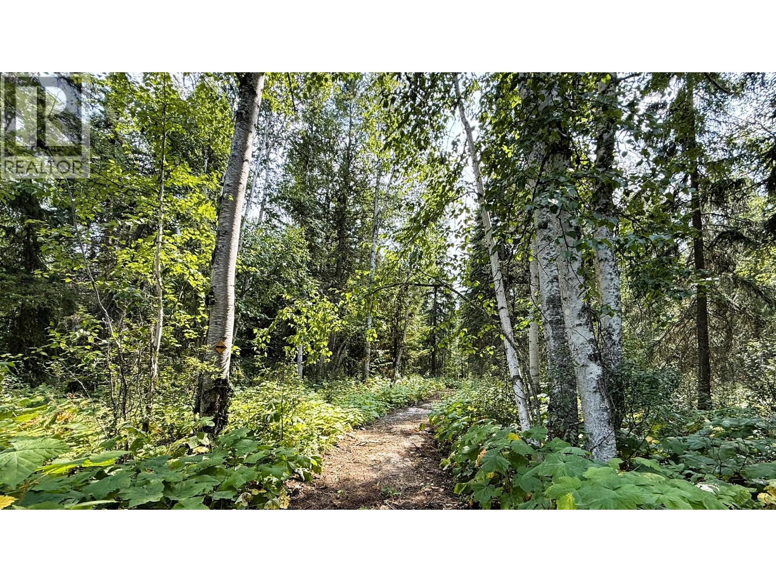 2434 Kettleston Road, Golden, British Columbia  V0A 1H1 - Photo 49 - 10398165
