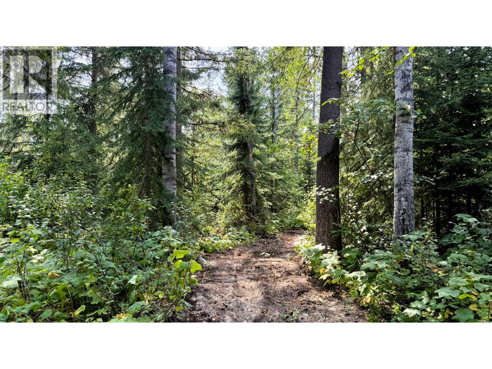 2434 Kettleston Road, Golden, British Columbia  V0A 1H1 - Photo 50 - 10398165
