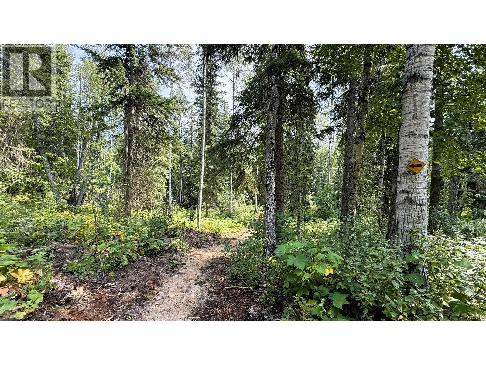2434 Kettleston Road, Golden, British Columbia  V0A 1H1 - Photo 51 - 10398165