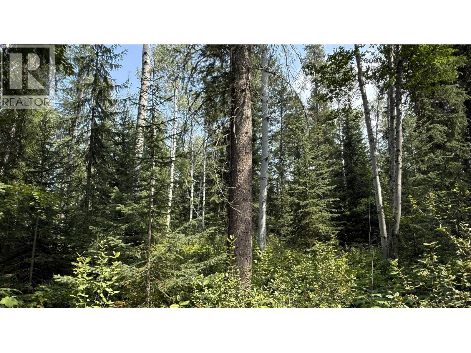 2434 Kettleston Road, Golden, British Columbia  V0A 1H1 - Photo 55 - 10398165