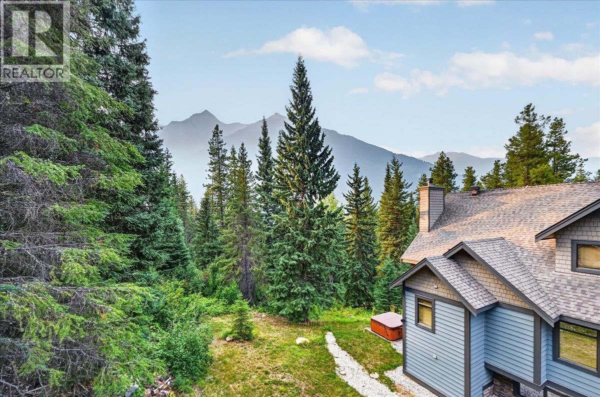 9966 Wildwood Lane, Panorama Mountain, British Columbia  V0A 1T0 - Photo 20 - 10398521