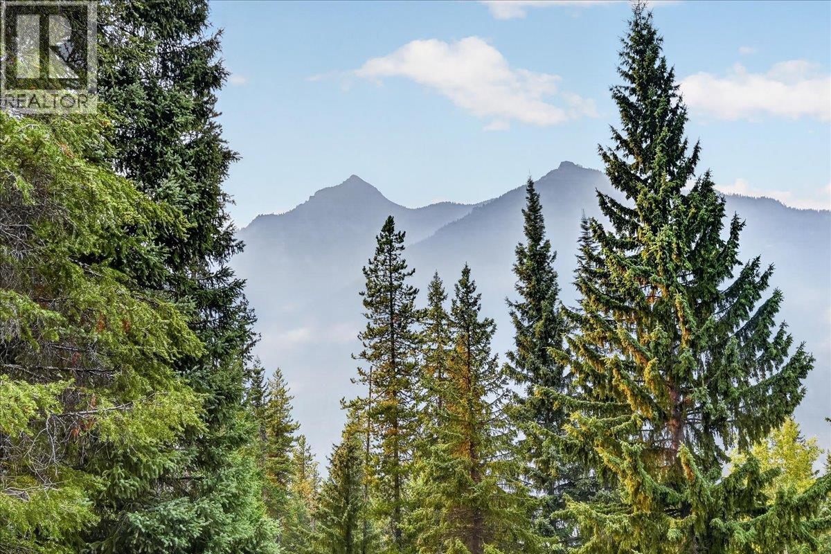 9966 Wildwood Lane, Panorama Mountain, British Columbia  V0A 1T0 - Photo 21 - 10398521