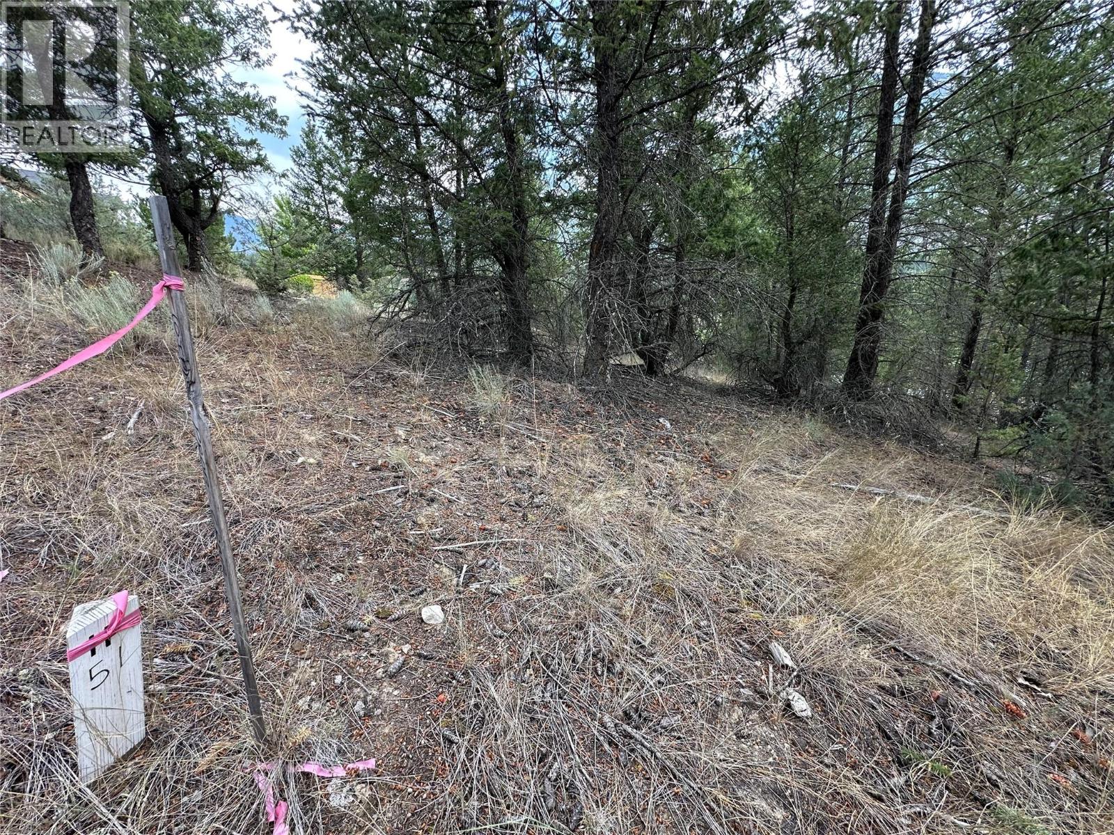 Lot 51 Cooper Road, Windermere, British Columbia  V0A 1K4 - Photo 8 - 10399005