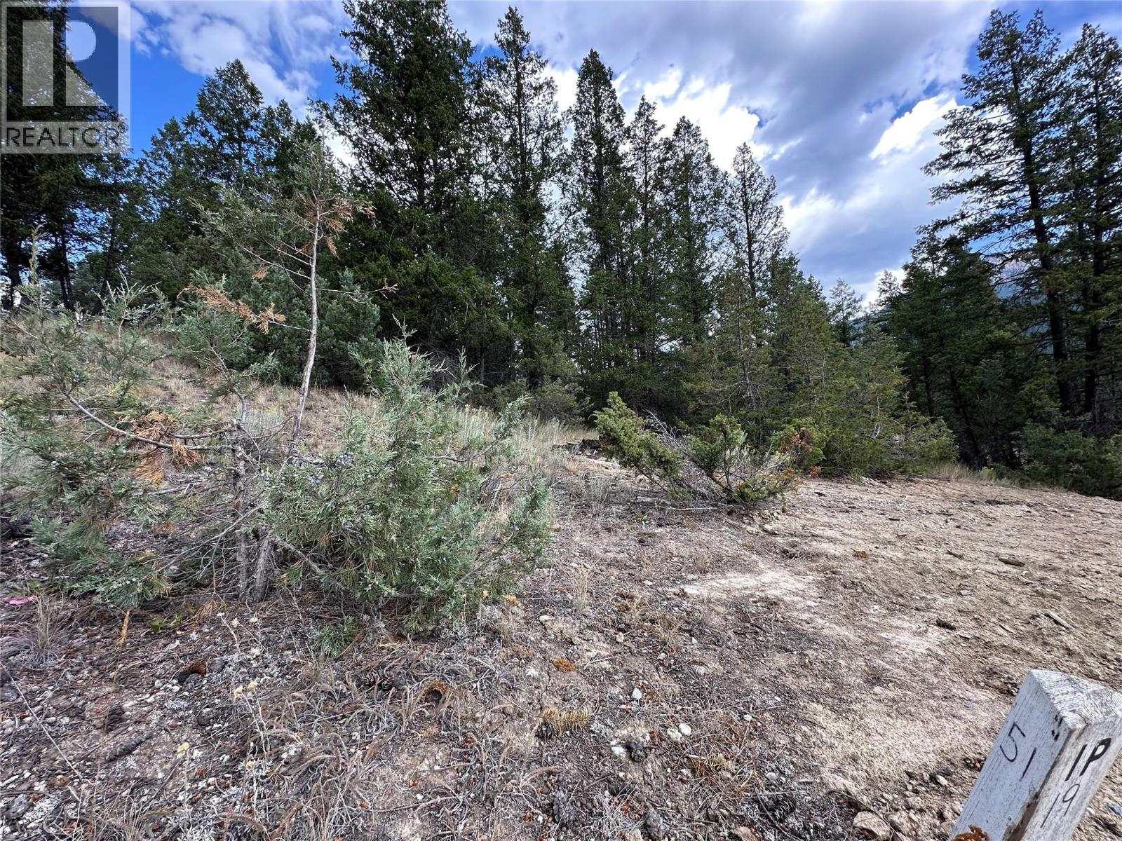 Lot 51 Cooper Road, Windermere, British Columbia  V0A 1K4 - Photo 9 - 10399005