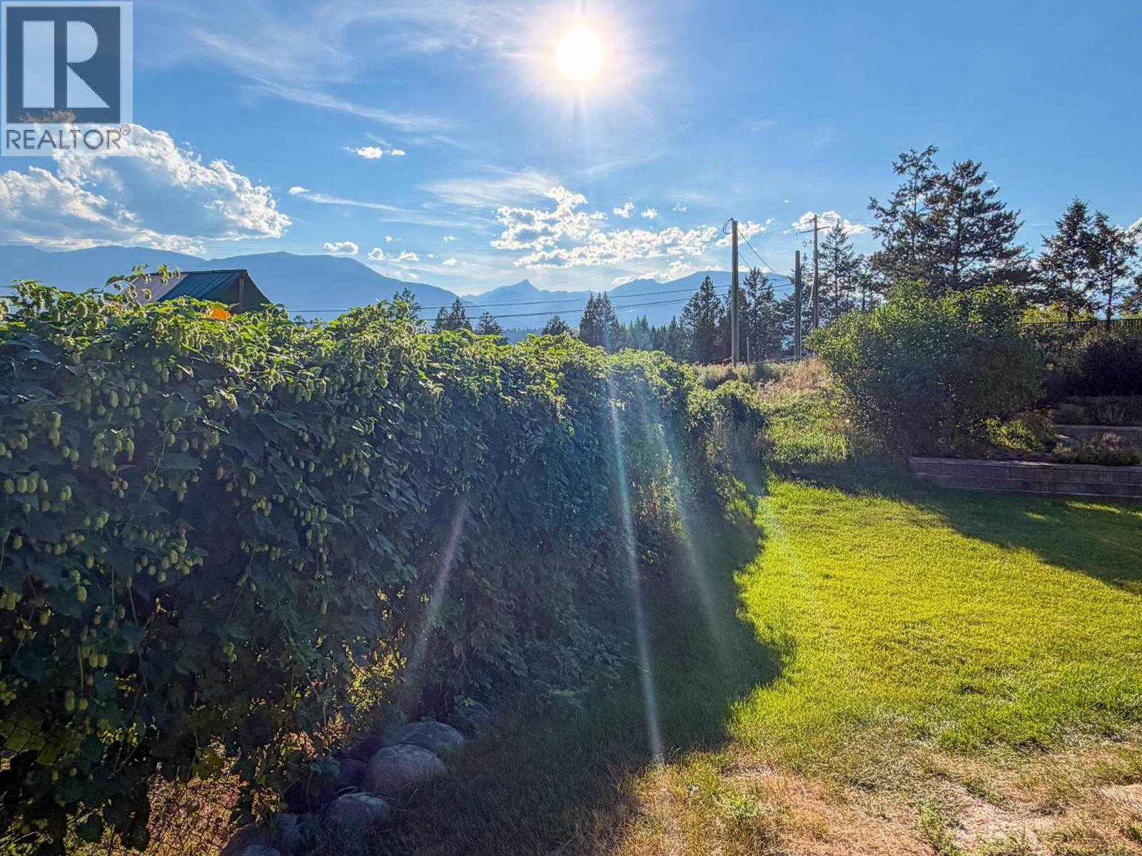 456 Lakeview Road, Invermere, British Columbia  V0A 1K3 - Photo 11 - 10399143