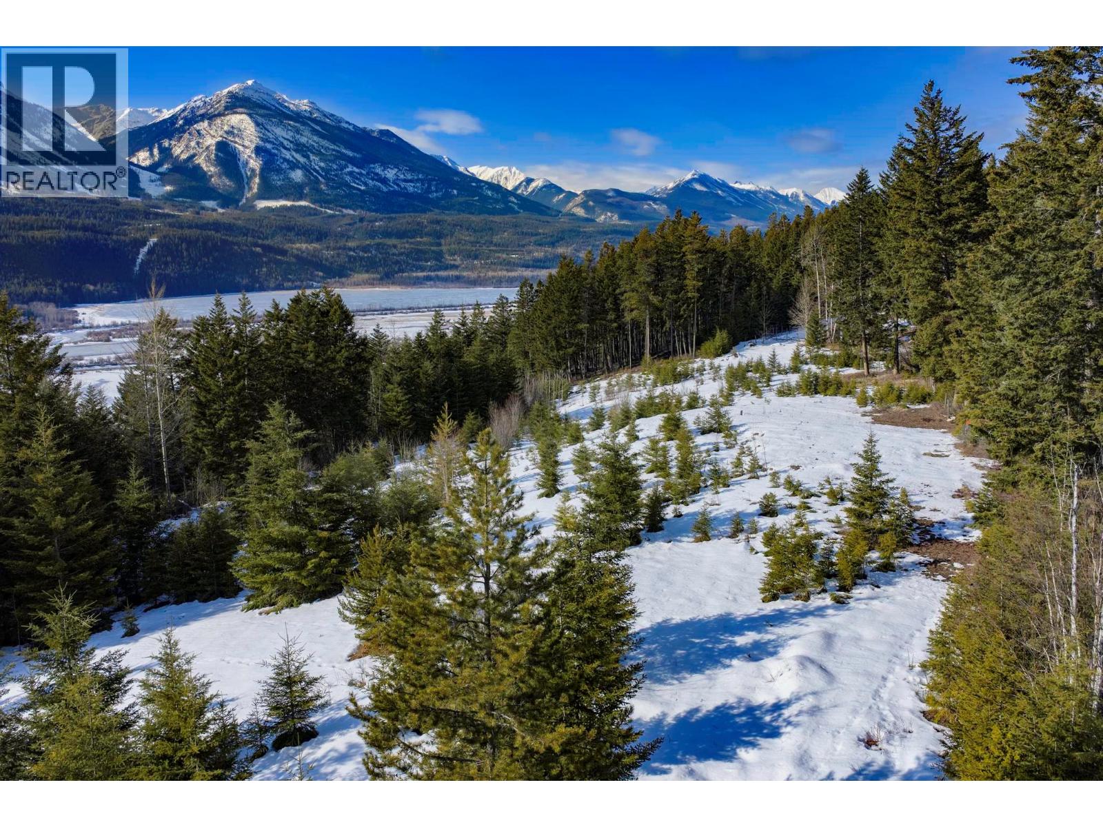 Lot 3 Schiesser Road, Golden, British Columbia  V0A 1H2 - Photo 18 - 10399081