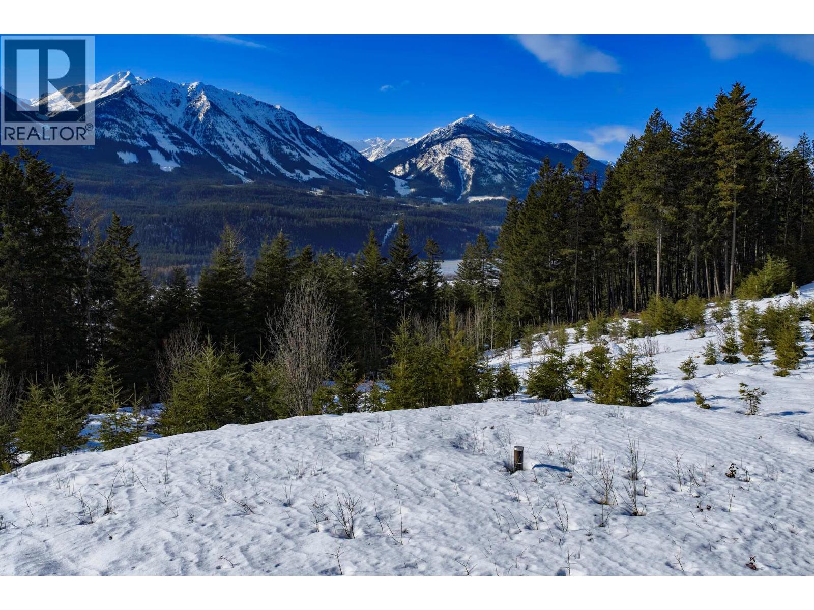 Lot 3 Schiesser Road, Golden, British Columbia  V0A 1H2 - Photo 19 - 10399081