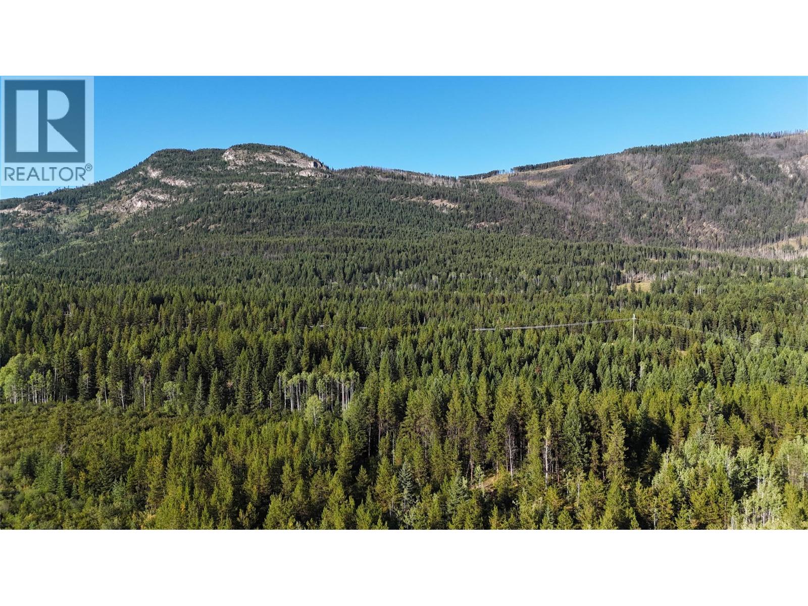 4265 Giant Mine Road, Spillimacheen, British Columbia  V0A 1P0 - Photo 10 - 10399021