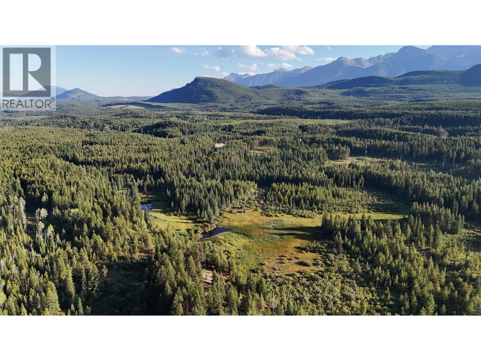 4265 Giant Mine Road, Spillimacheen, British Columbia  V0A 1P0 - Photo 12 - 10399021