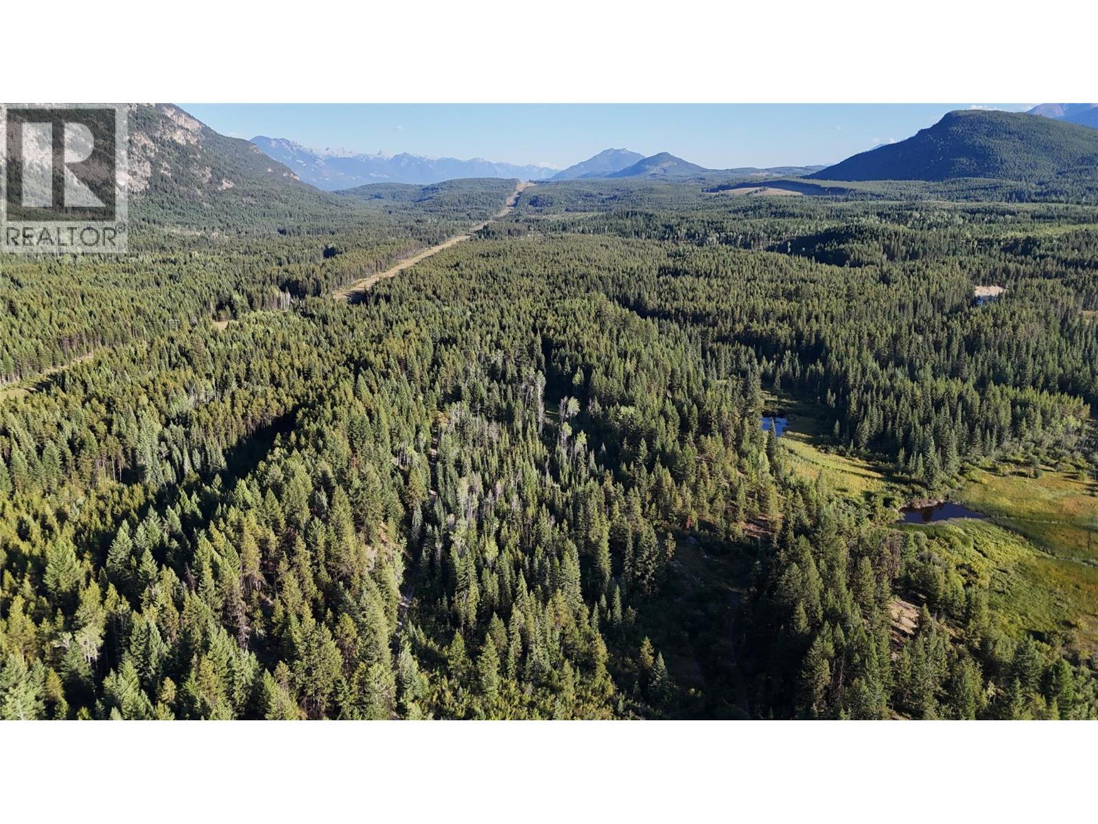 4265 Giant Mine Road, Spillimacheen, British Columbia  V0A 1P0 - Photo 13 - 10399021