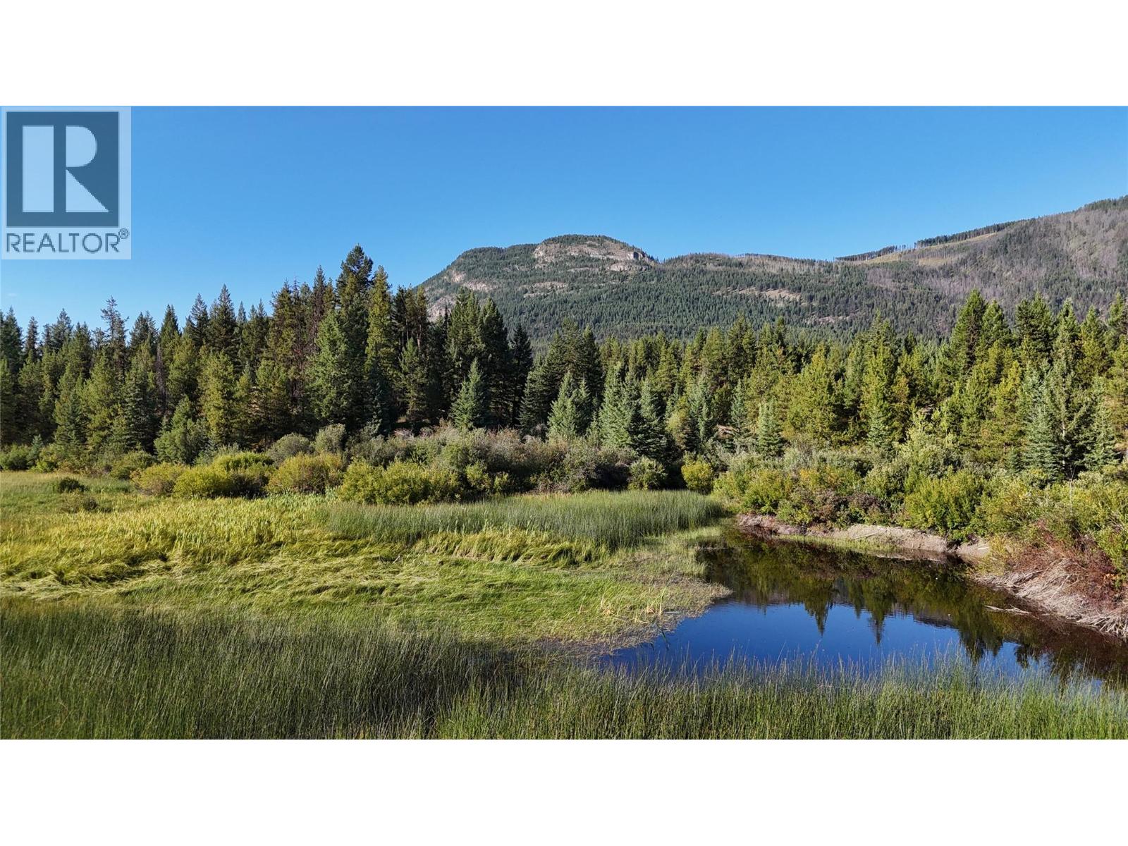 4265 Giant Mine Road, Spillimacheen, British Columbia  V0A 1P0 - Photo 15 - 10399021