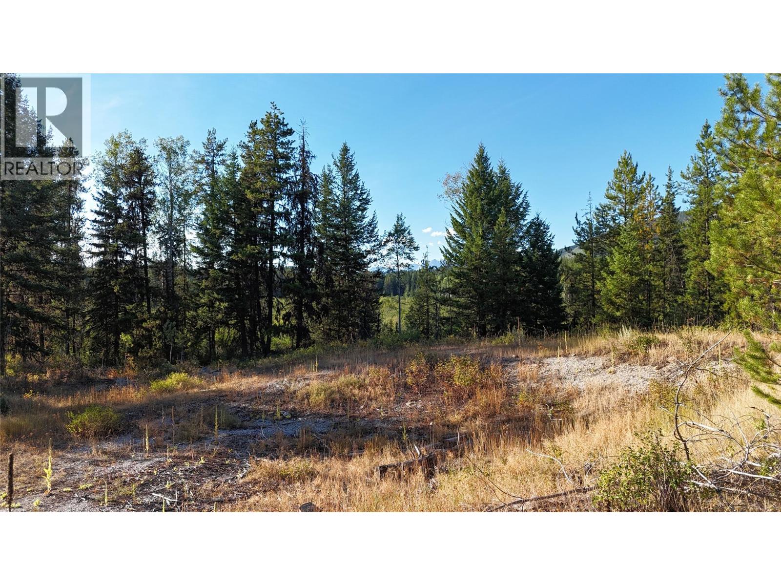 4265 Giant Mine Road, Spillimacheen, British Columbia  V0A 1P0 - Photo 16 - 10399021