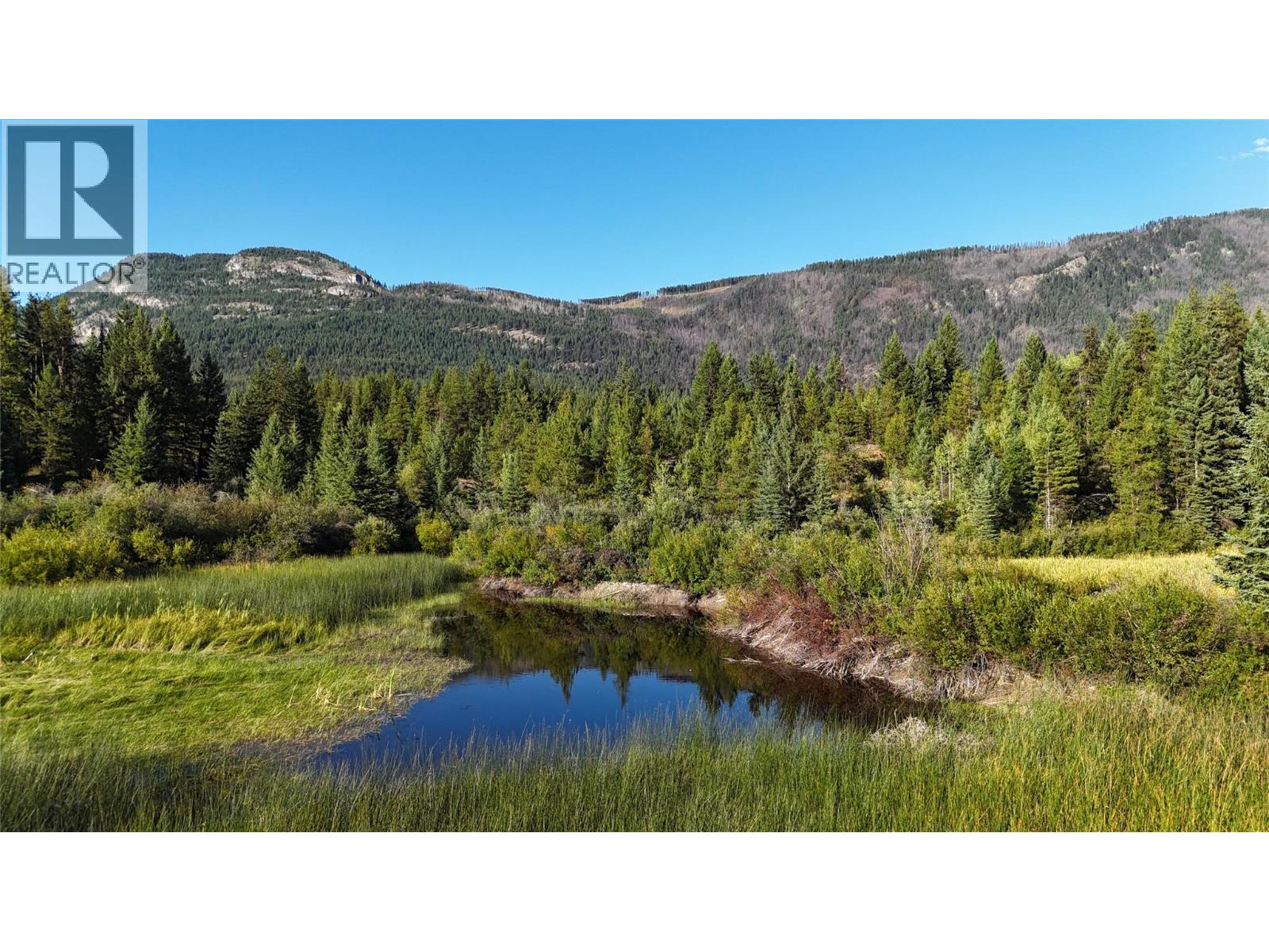 4265 Giant Mine Road, Spillimacheen, British Columbia  V0A 1P0 - Photo 2 - 10399021
