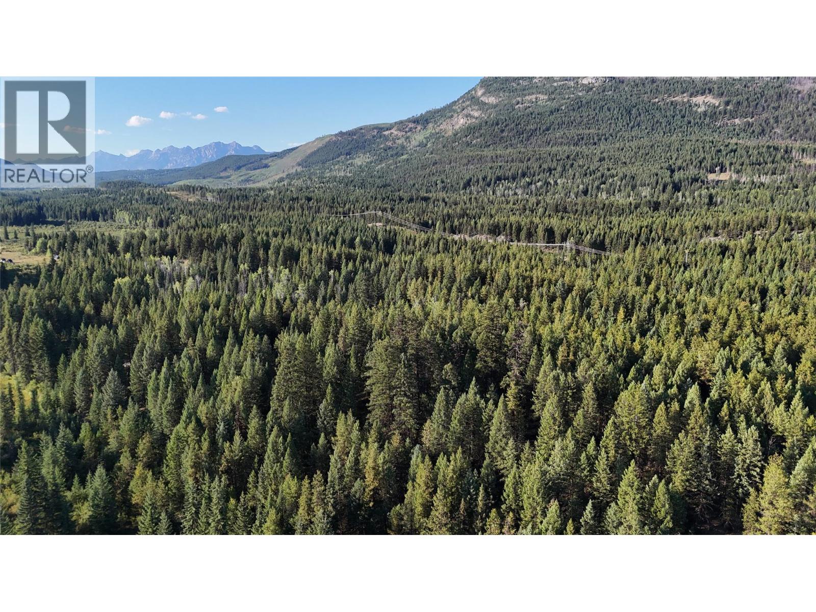 4265 Giant Mine Road, Spillimacheen, British Columbia  V0A 1P0 - Photo 24 - 10399021