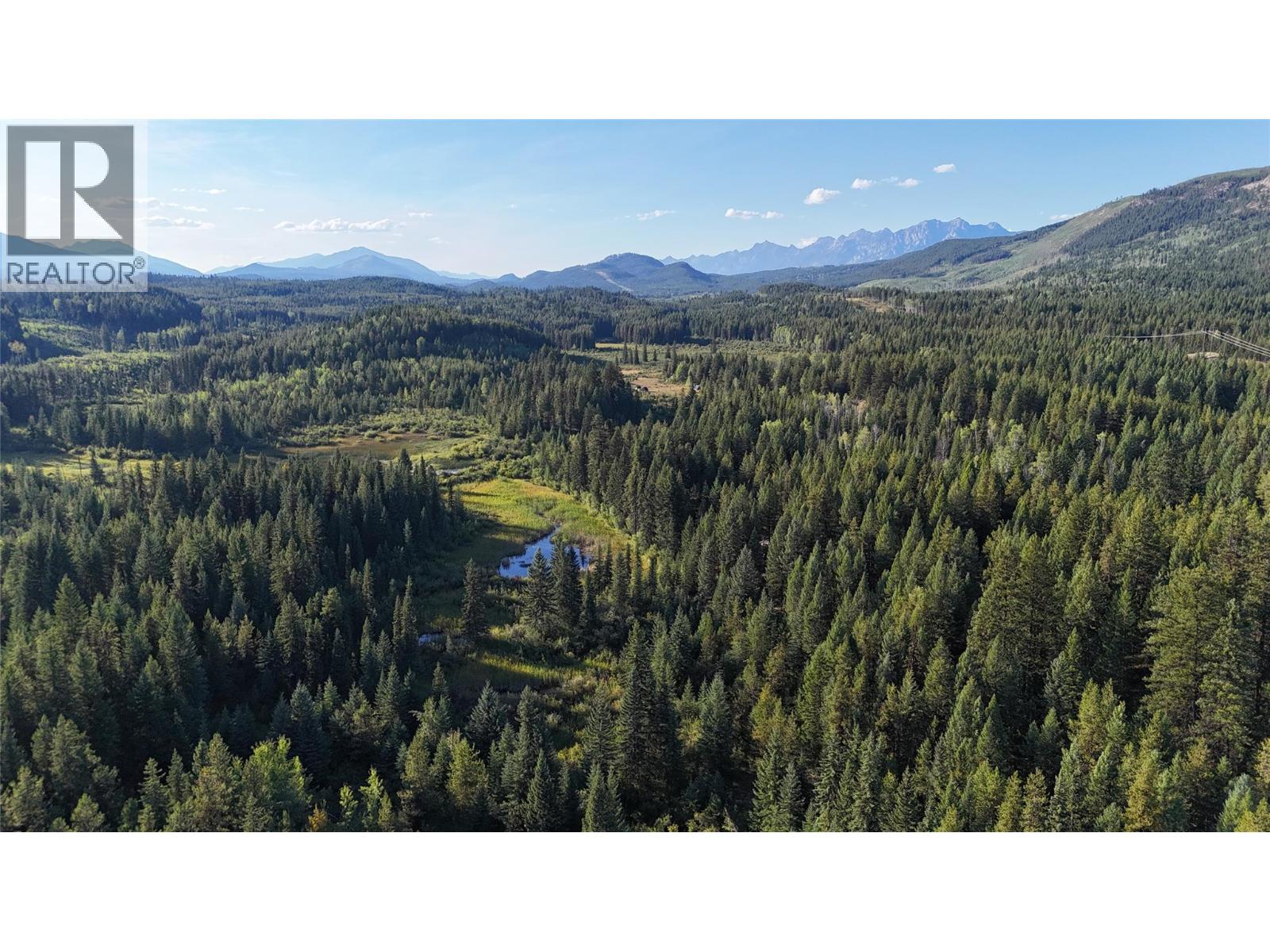 4265 Giant Mine Road, Spillimacheen, British Columbia  V0A 1P0 - Photo 25 - 10399021