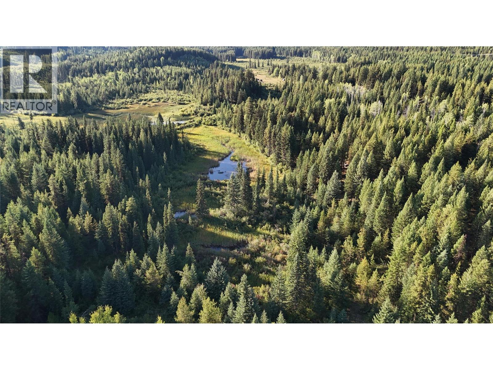 4265 Giant Mine Road, Spillimacheen, British Columbia  V0A 1P0 - Photo 26 - 10399021