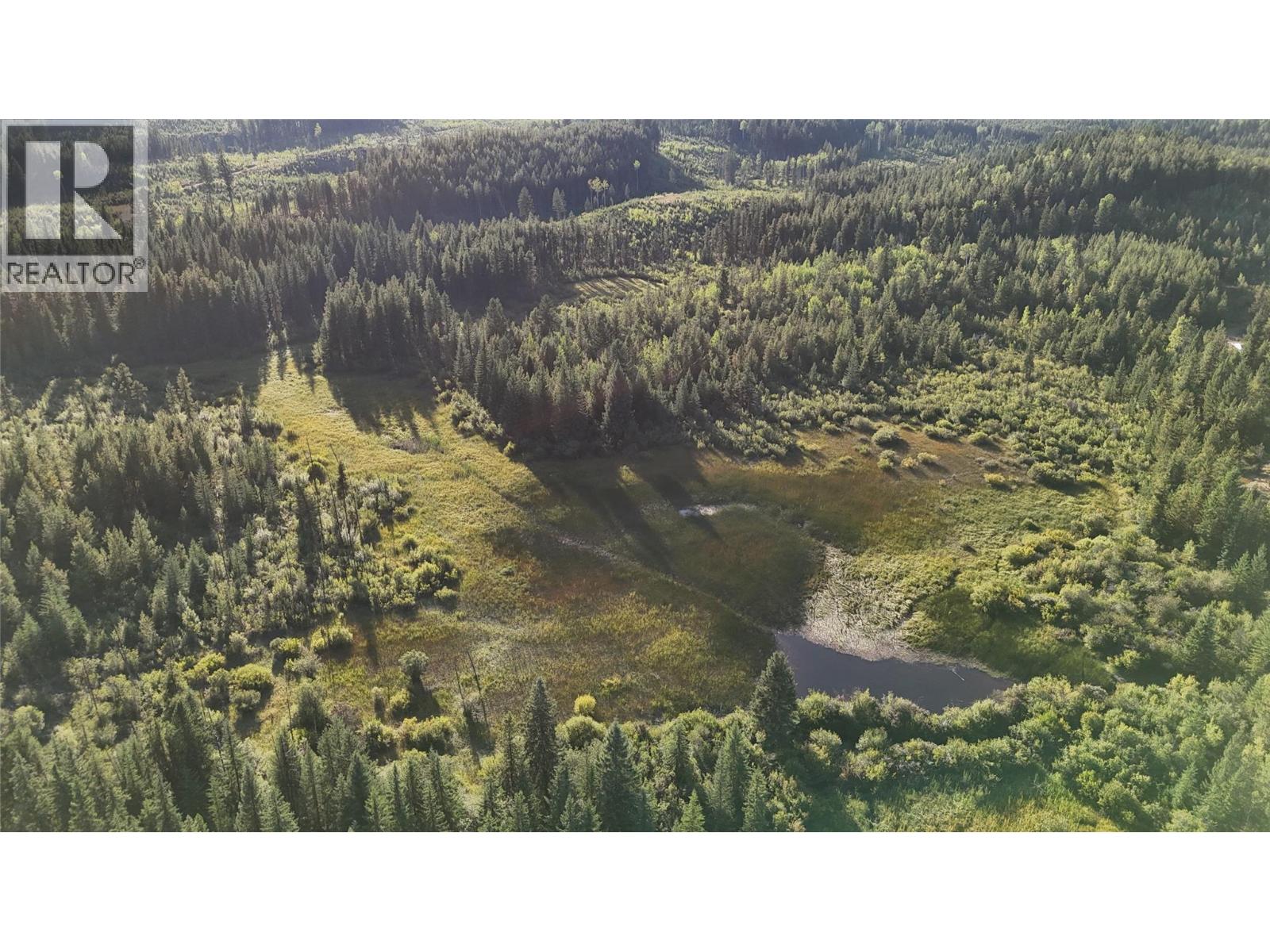 4265 Giant Mine Road, Spillimacheen, British Columbia  V0A 1P0 - Photo 28 - 10399021