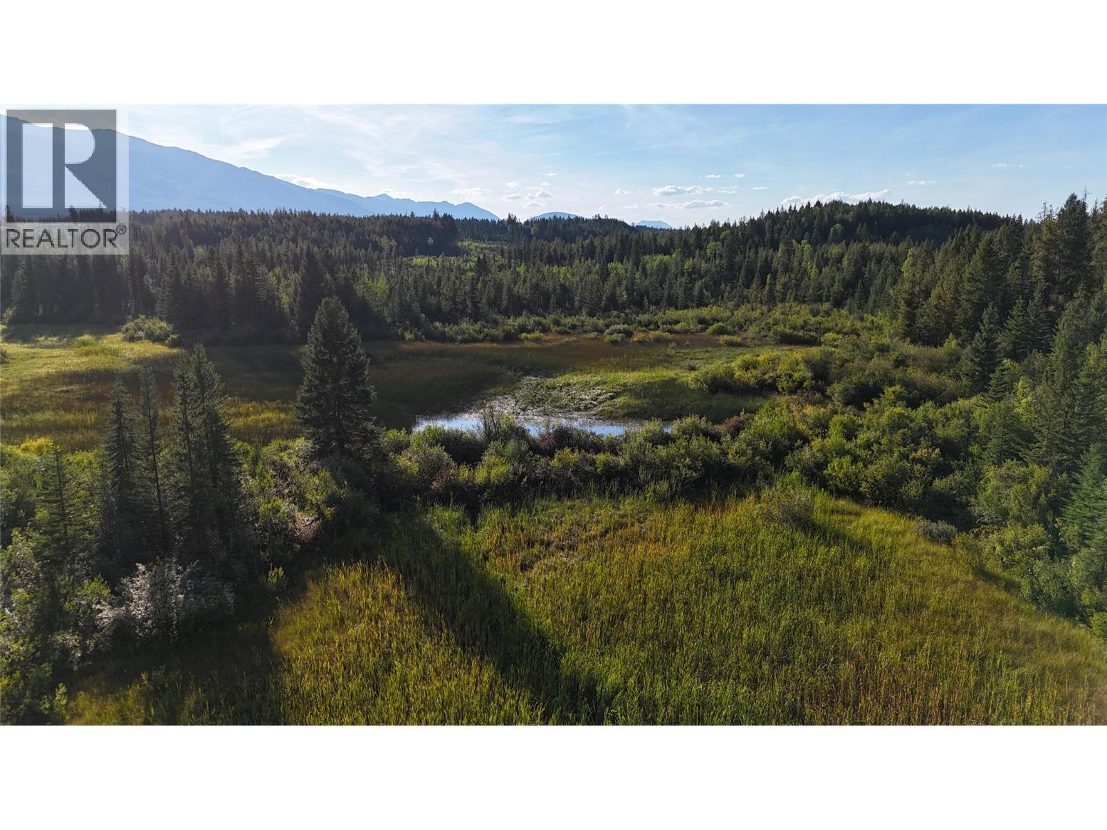 4265 Giant Mine Road, Spillimacheen, British Columbia  V0A 1P0 - Photo 29 - 10399021