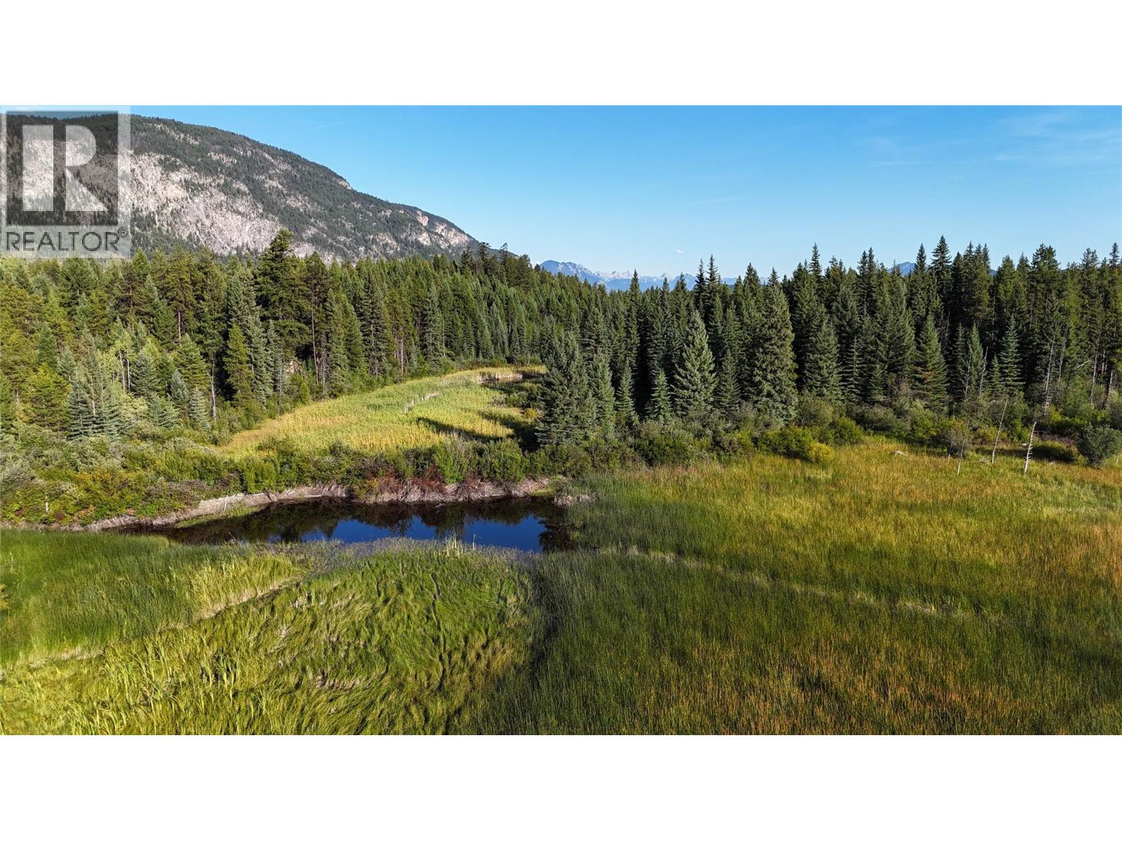 4265 Giant Mine Road, Spillimacheen, British Columbia  V0A 1P0 - Photo 3 - 10399021