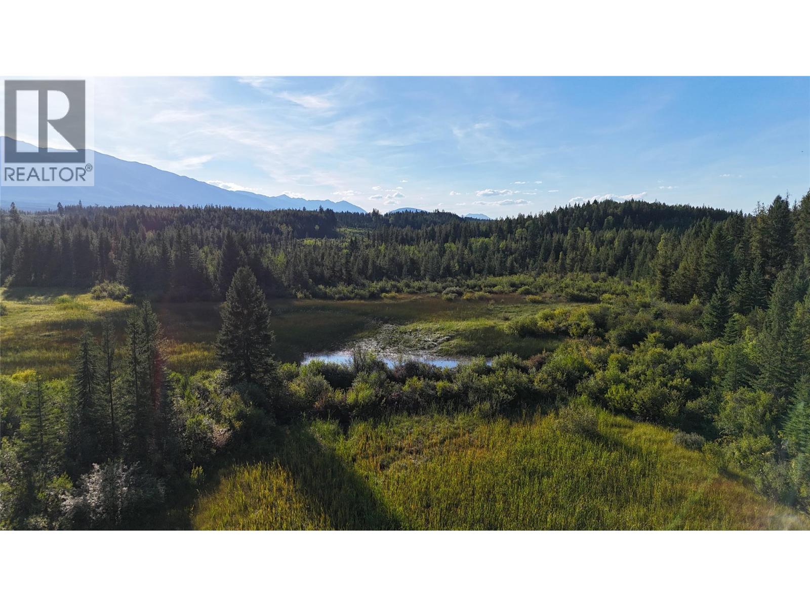 4265 Giant Mine Road, Spillimacheen, British Columbia  V0A 1P0 - Photo 30 - 10399021