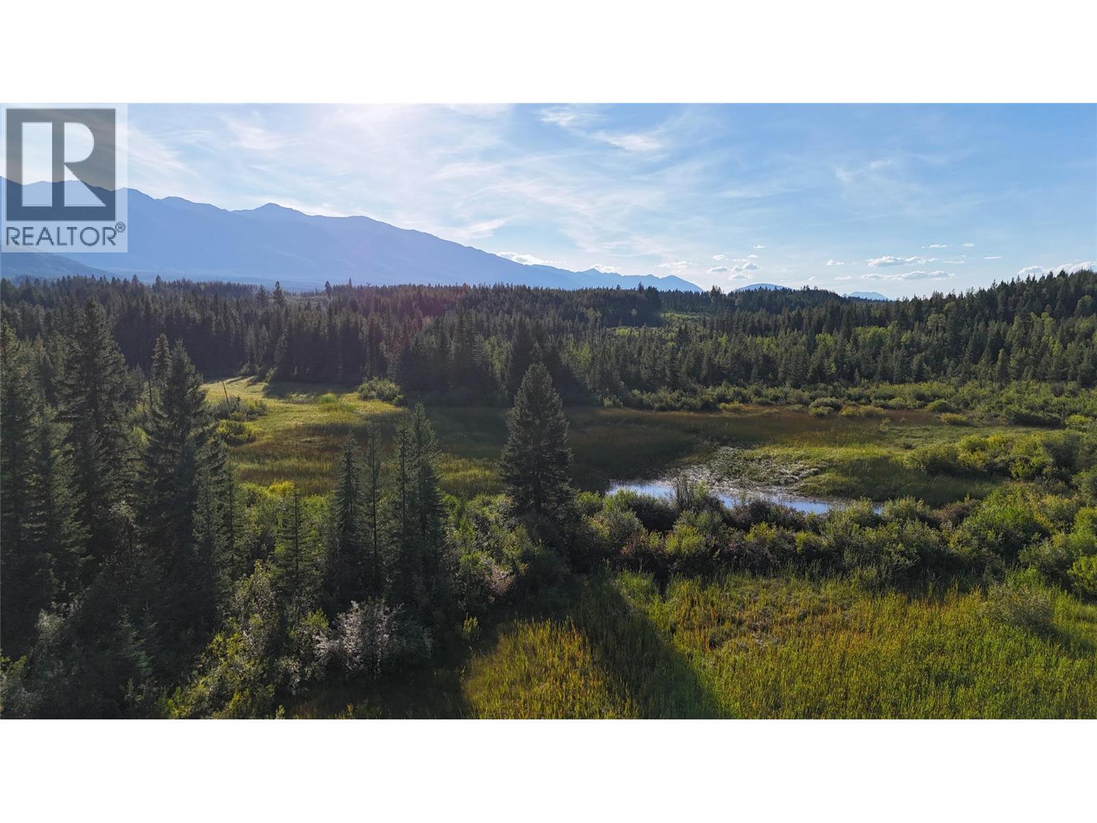 4265 Giant Mine Road, Spillimacheen, British Columbia  V0A 1P0 - Photo 31 - 10399021
