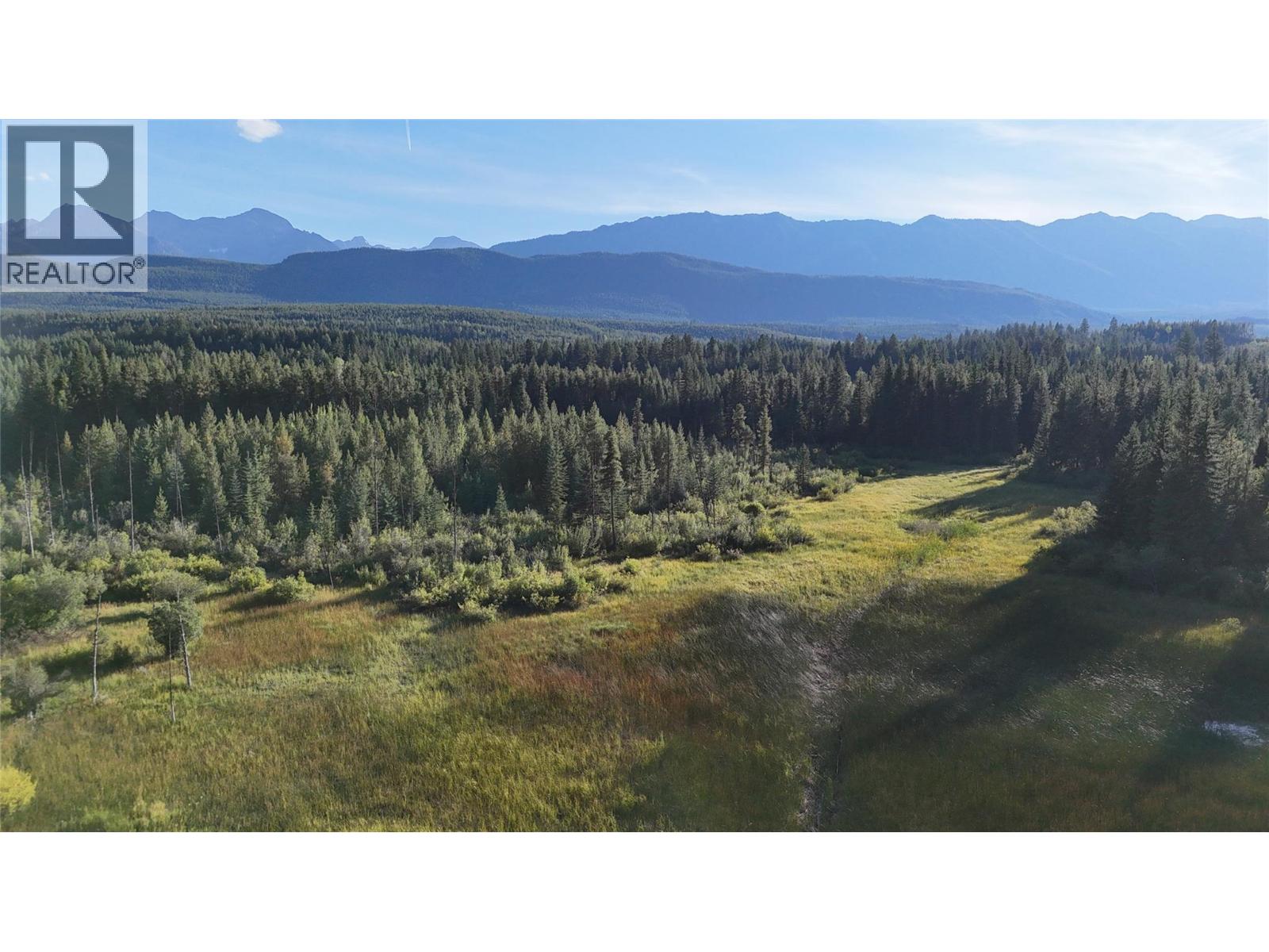 4265 Giant Mine Road, Spillimacheen, British Columbia  V0A 1P0 - Photo 33 - 10399021