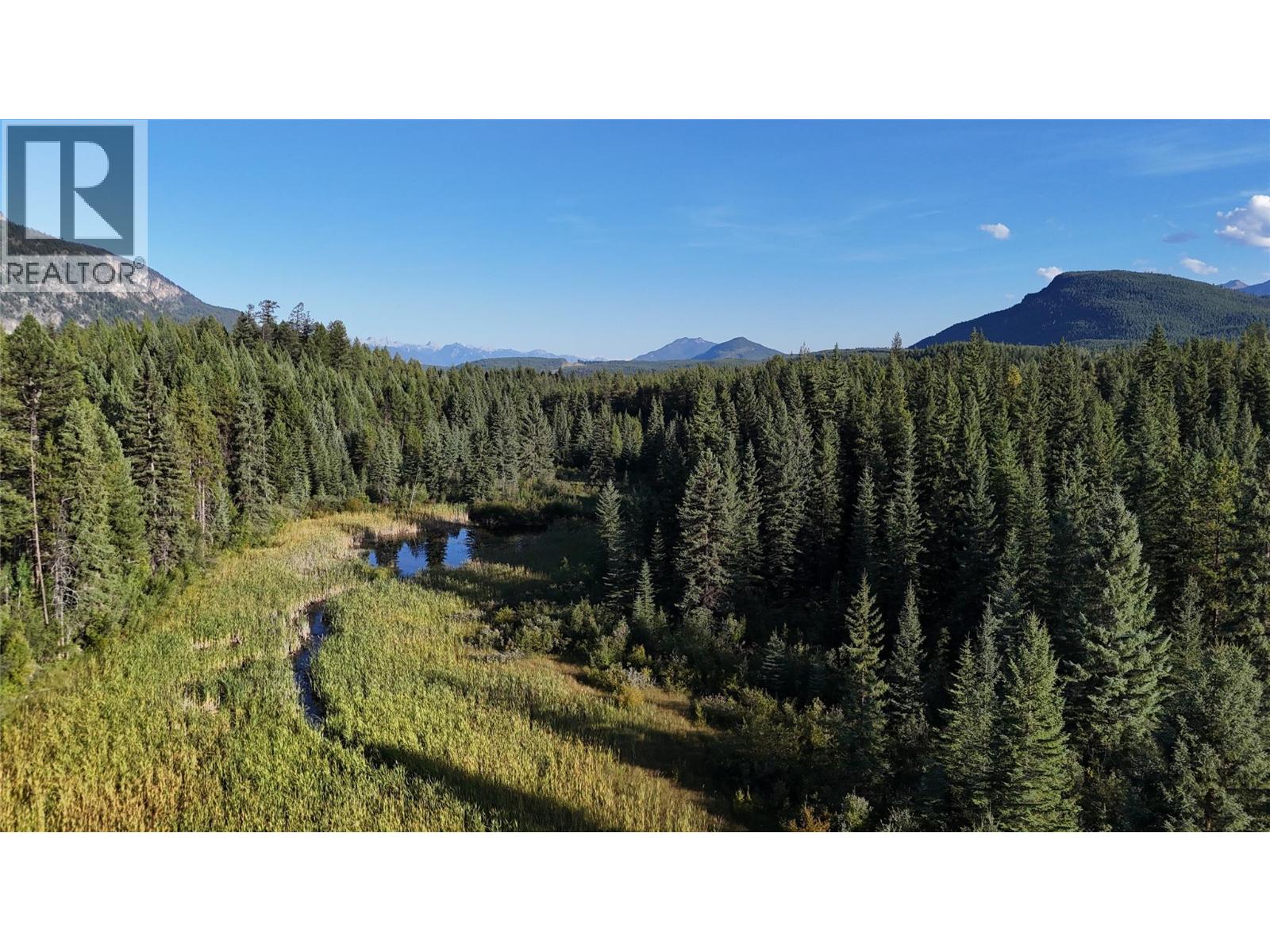 4265 Giant Mine Road, Spillimacheen, British Columbia  V0A 1P0 - Photo 34 - 10399021