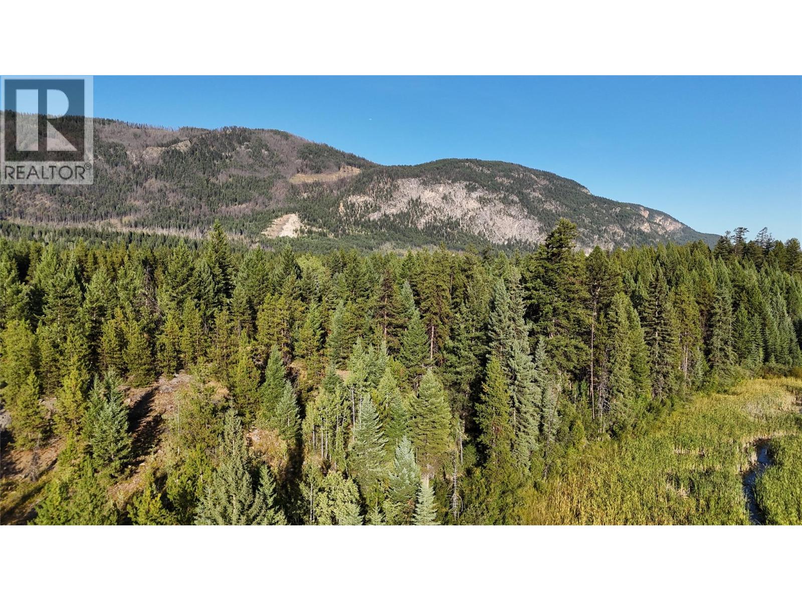 4265 Giant Mine Road, Spillimacheen, British Columbia  V0A 1P0 - Photo 35 - 10399021