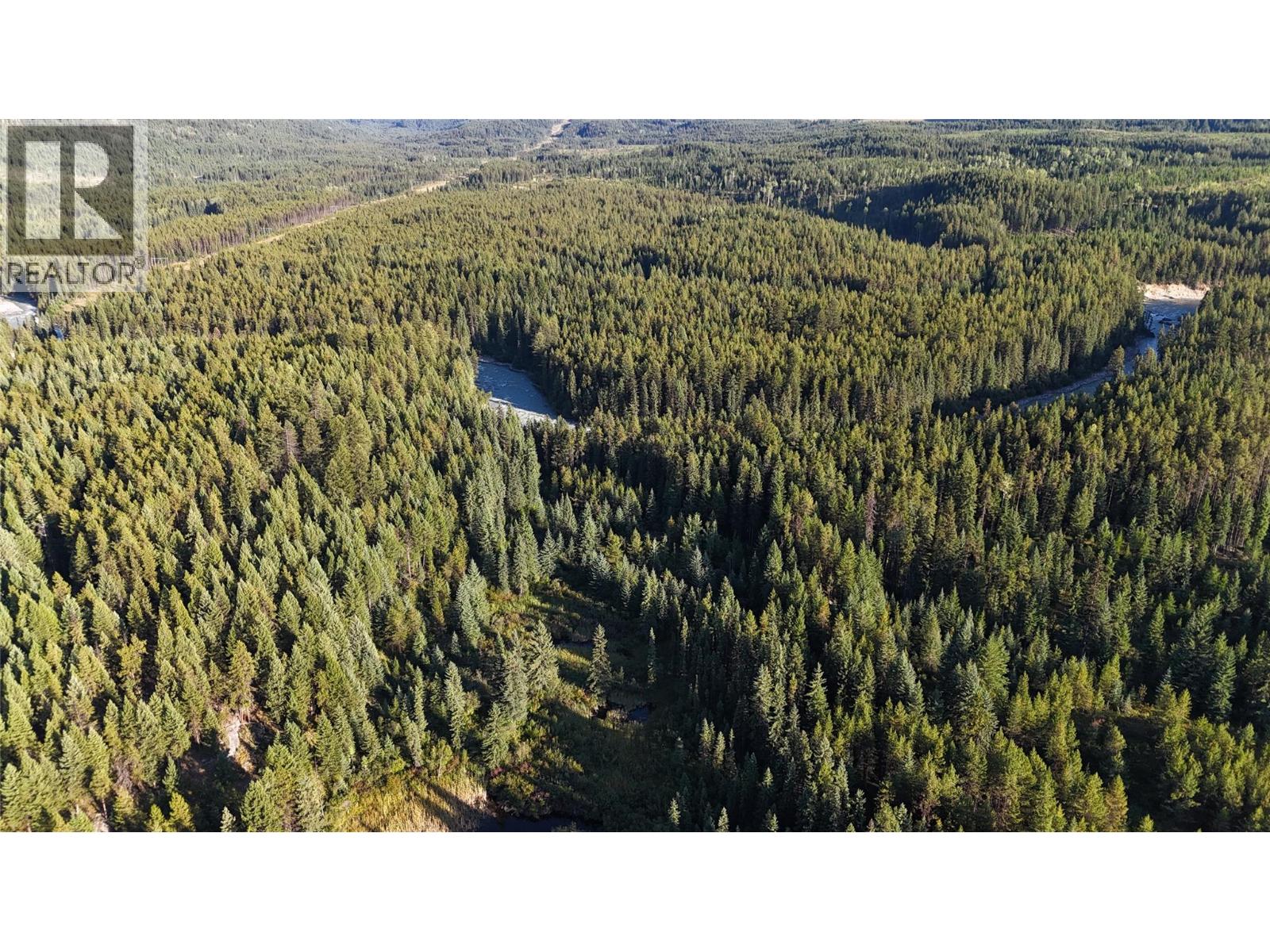 4265 Giant Mine Road, Spillimacheen, British Columbia  V0A 1P0 - Photo 37 - 10399021