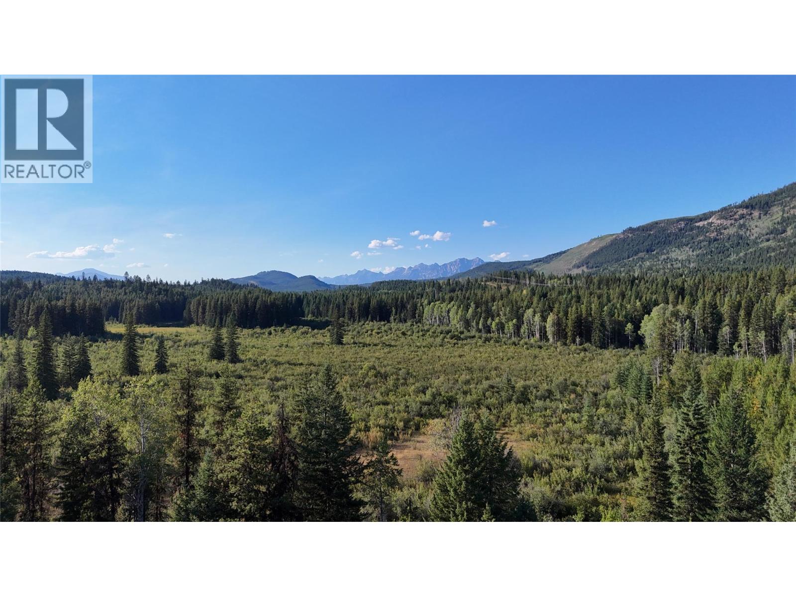 4265 Giant Mine Road, Spillimacheen, British Columbia  V0A 1P0 - Photo 4 - 10399021