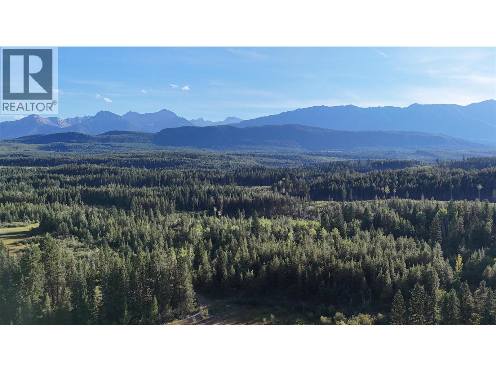 4265 Giant Mine Road, Spillimacheen, British Columbia  V0A 1P0 - Photo 8 - 10399021