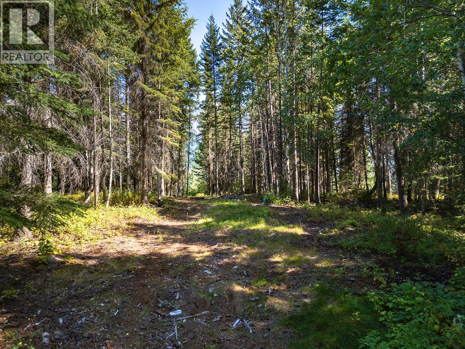 4151 Thomas Road, Golden, British Columbia  V0A 1L0 - Photo 46 - 10399730