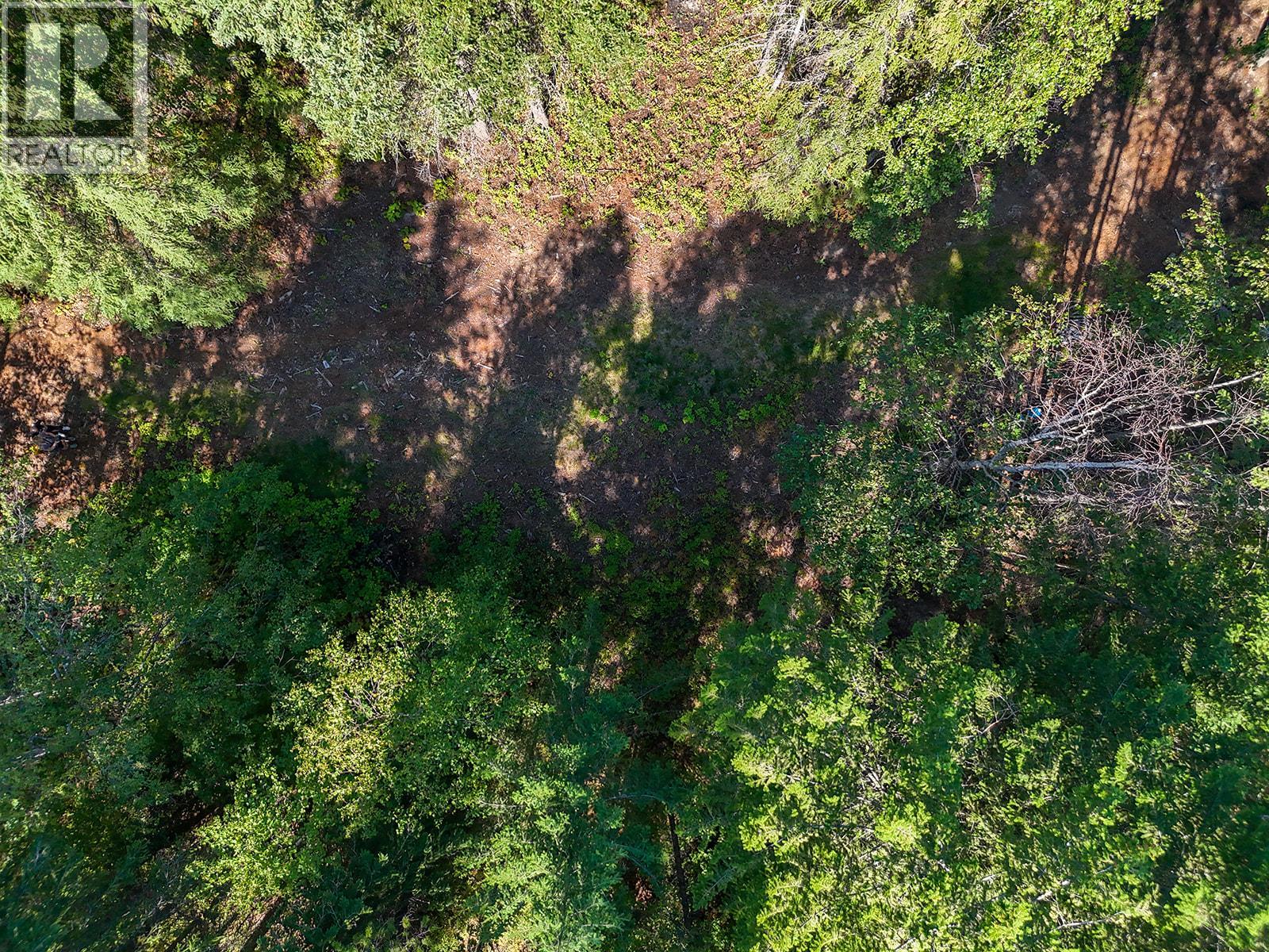 4151 Thomas Road, Golden, British Columbia  V0A 1L0 - Photo 49 - 10399730
