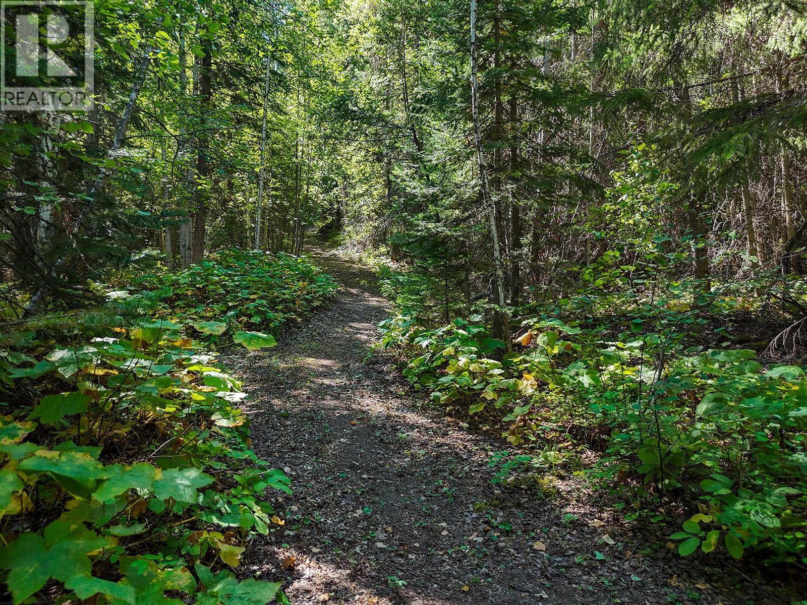 4151 Thomas Road, Golden, British Columbia  V0A 1L0 - Photo 51 - 10399730