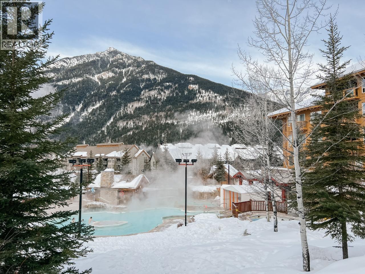 2049 Summit Drive Unit# 115d, Panorama, British Columbia  V0A 1T0 - Photo 28 - 10400056