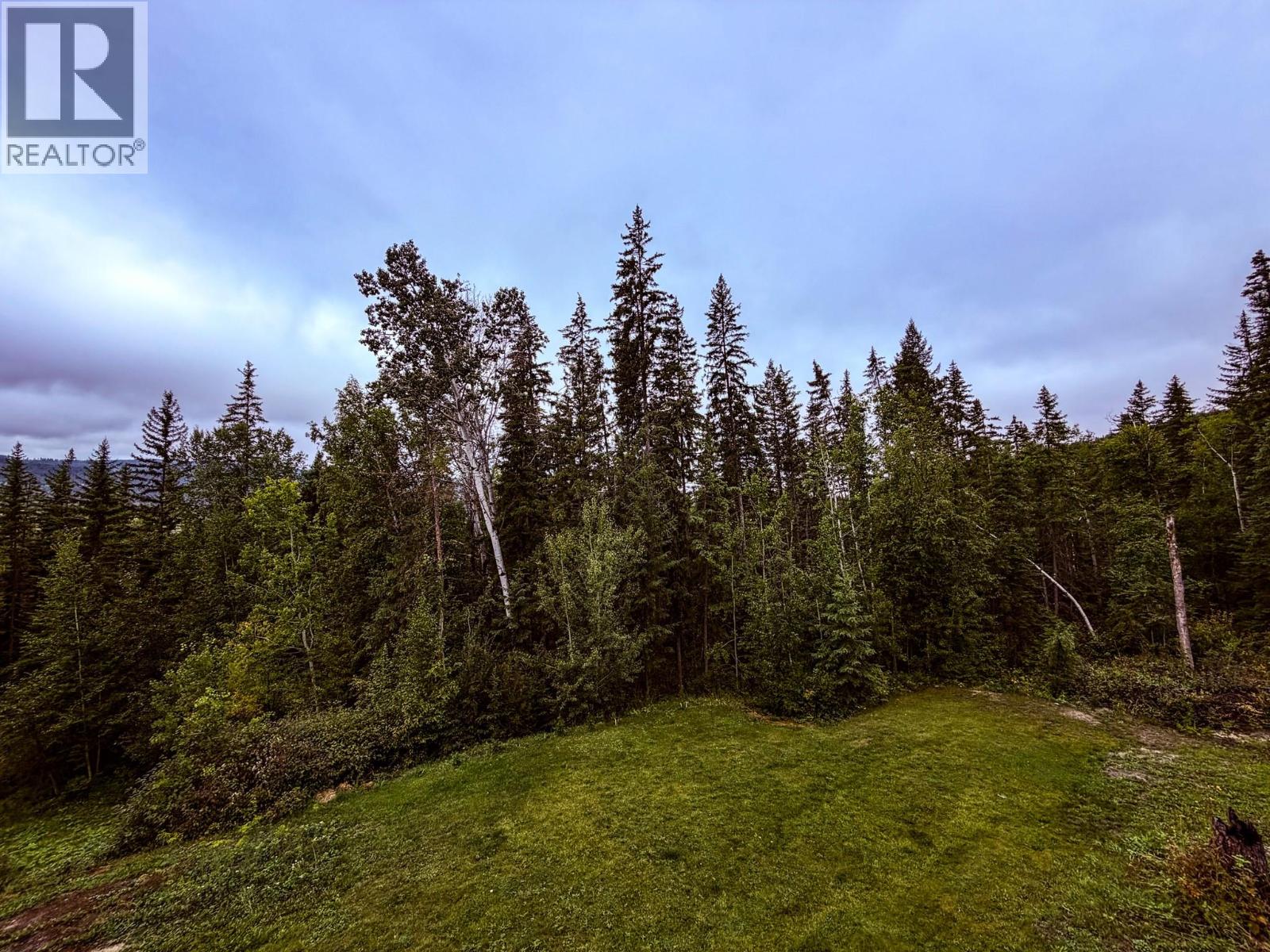 2529 95 Highway, Brisco, British Columbia  V0A 1B0 - Photo 31 - 10400401