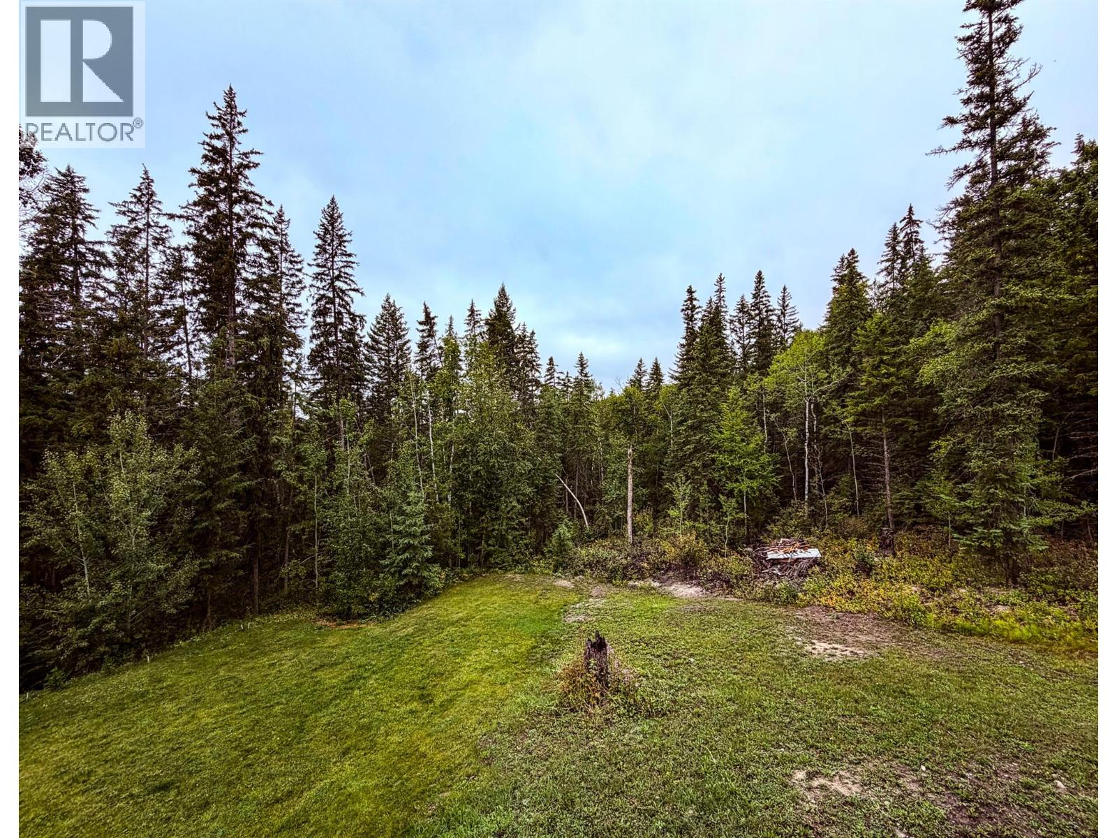 2529 95 Highway, Brisco, British Columbia  V0A 1B0 - Photo 32 - 10400401