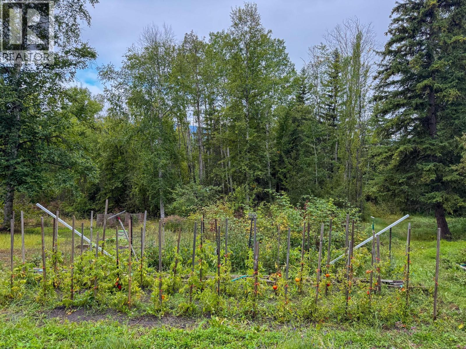 2529 95 Highway, Brisco, British Columbia  V0A 1B0 - Photo 44 - 10400401