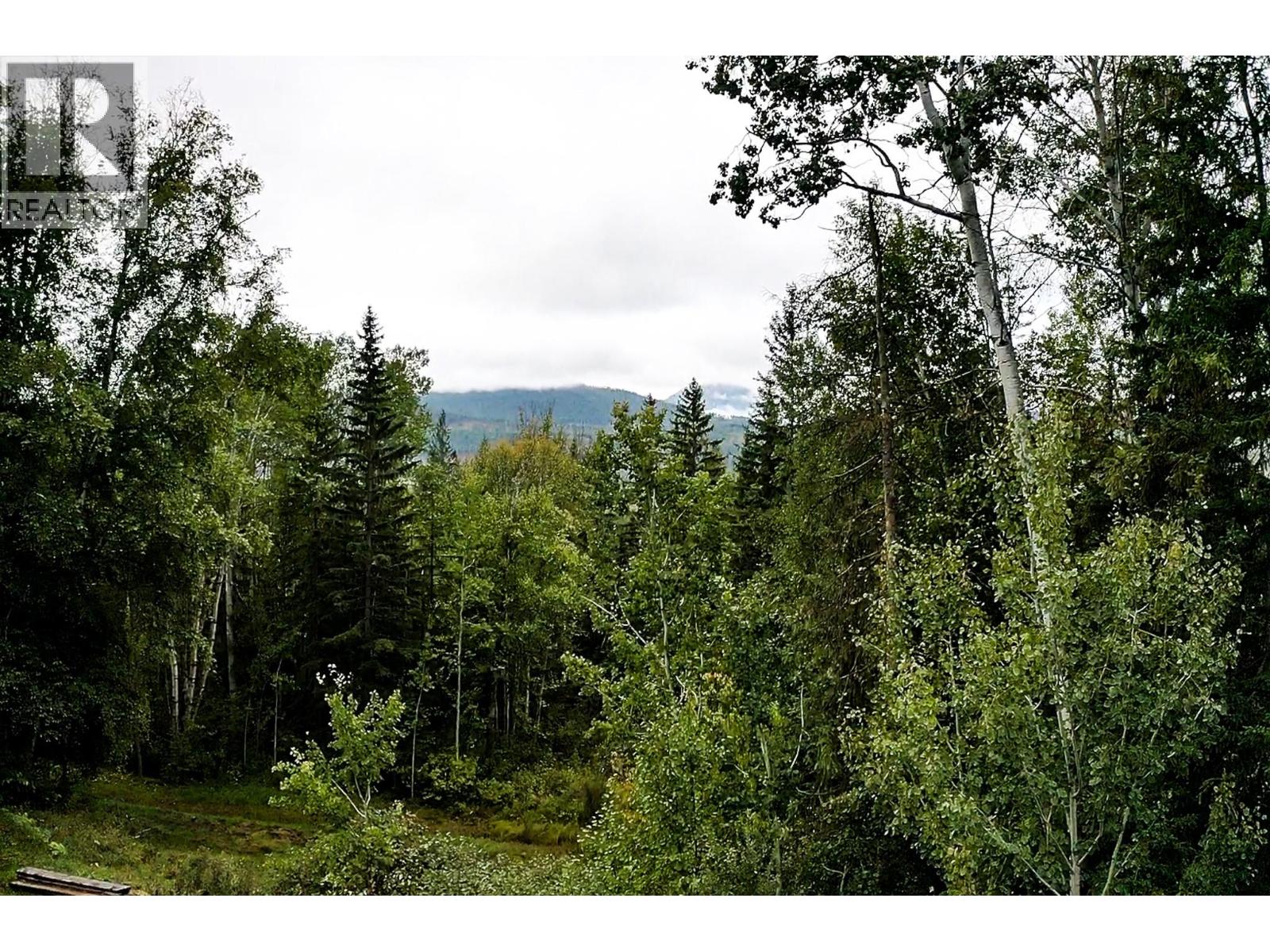 2529 95 Highway, Brisco, British Columbia  V0A 1B0 - Photo 46 - 10400401