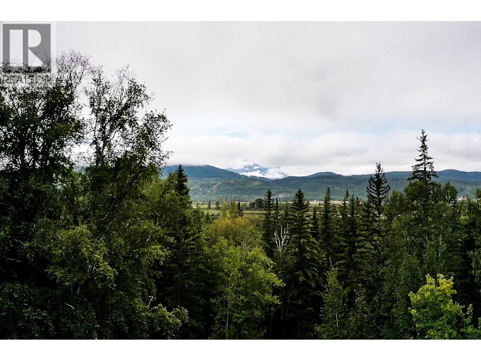 2529 95 Highway, Brisco, British Columbia  V0A 1B0 - Photo 52 - 10400401