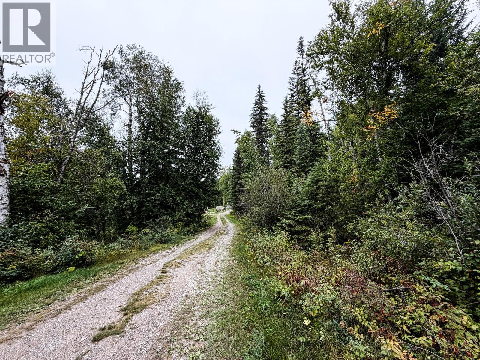 2529 95 Highway, Brisco, British Columbia  V0A 1B0 - Photo 55 - 10400401