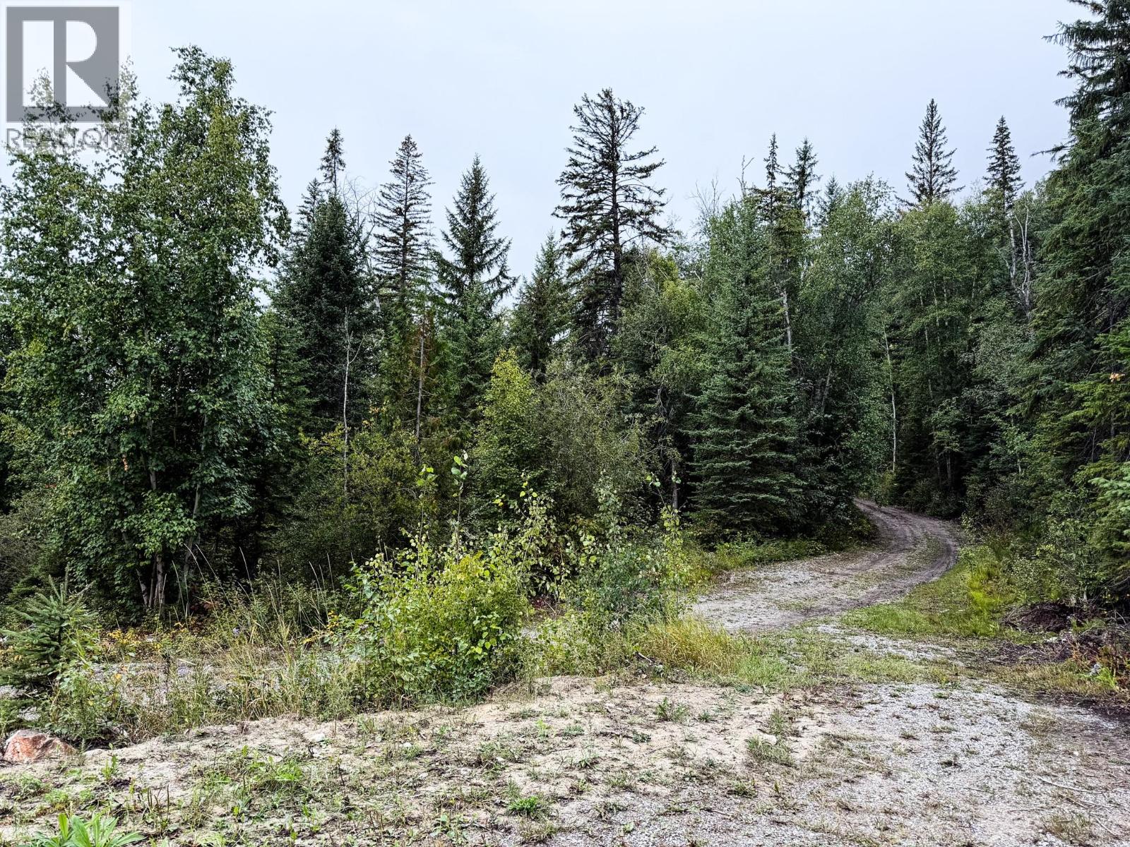 2529 95 Highway, Brisco, British Columbia  V0A 1B0 - Photo 56 - 10400401