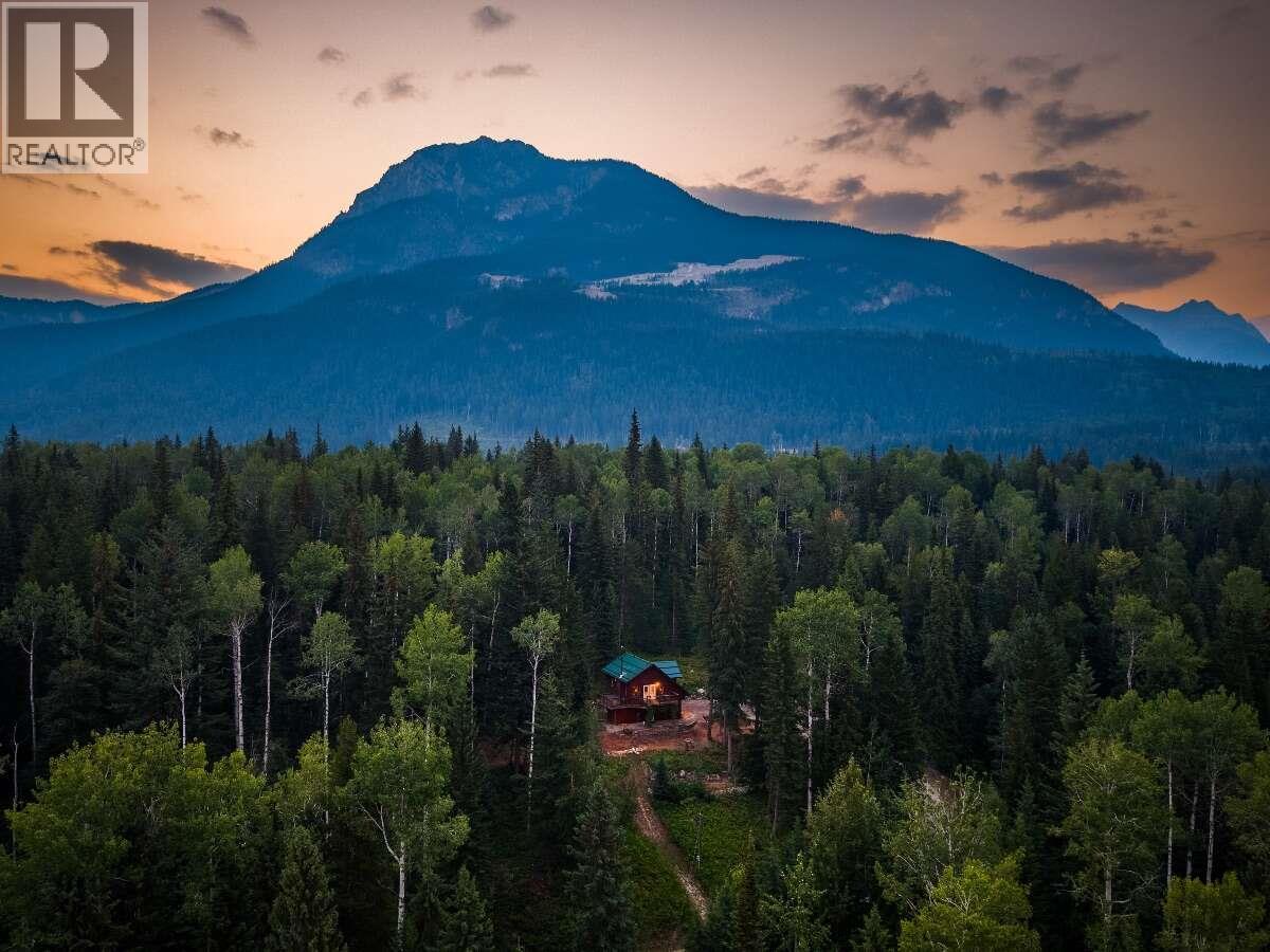 1629 ADOLPH JOHNSON Road, Golden, British Columbia