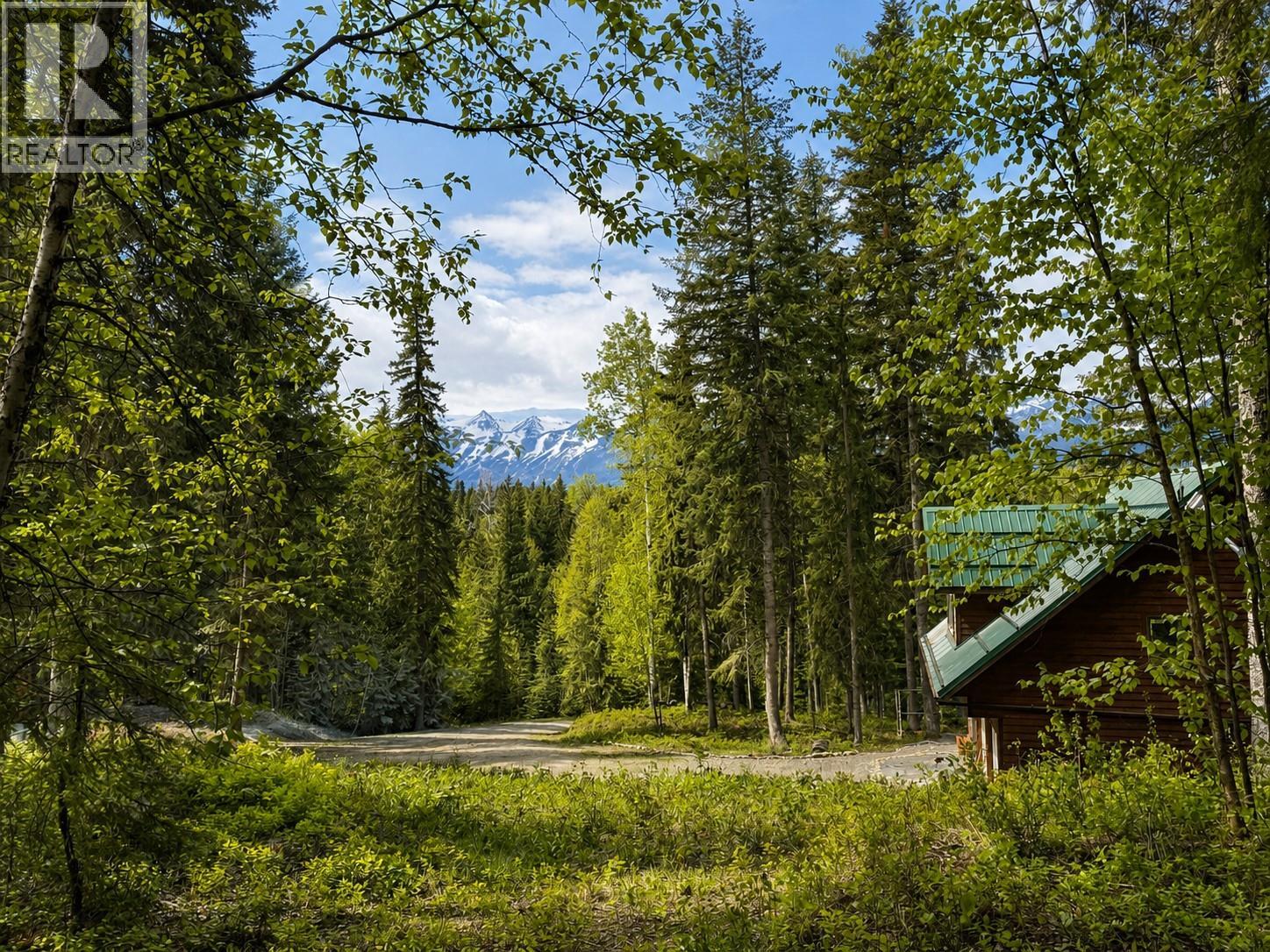 1629 Adolph Johnson Road, Golden, British Columbia  V0A 1H1 - Photo 12 - 10400835