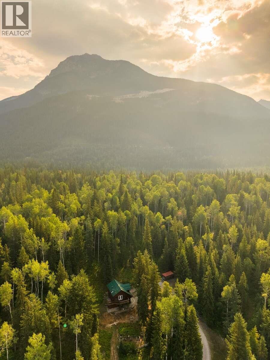 1629 Adolph Johnson Road, Golden, British Columbia  V0A 1H1 - Photo 43 - 10400835