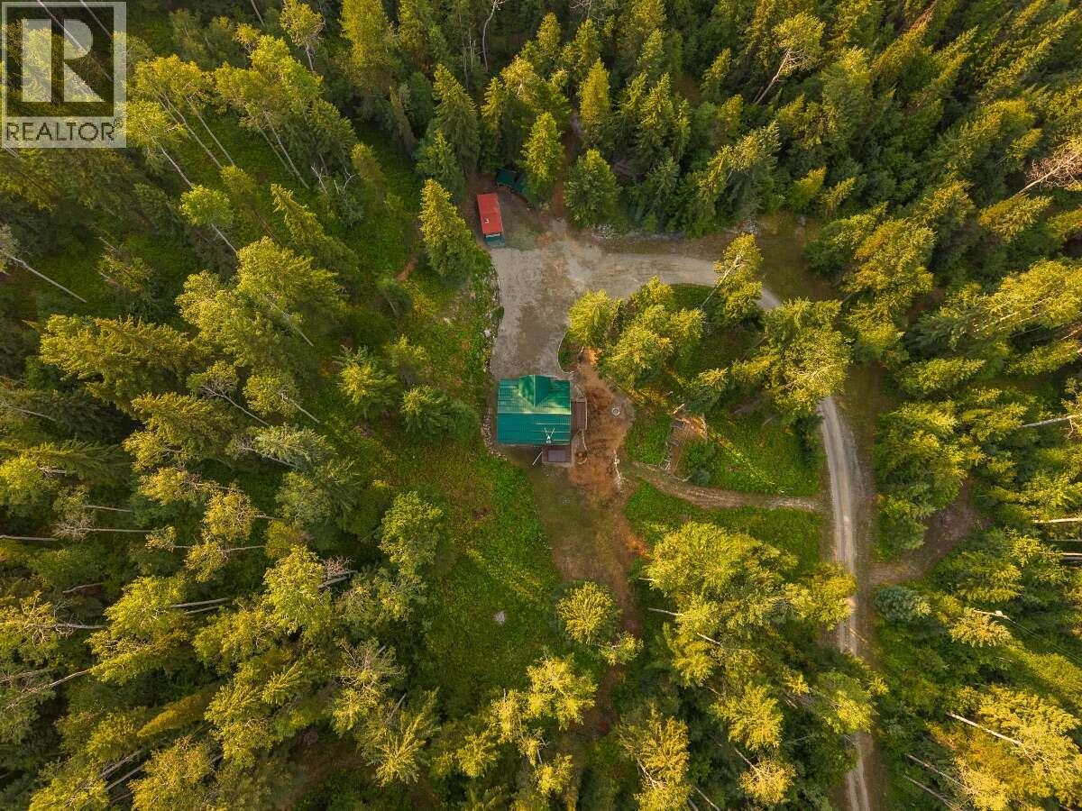 1629 Adolph Johnson Road, Golden, British Columbia  V0A 1H1 - Photo 50 - 10400835